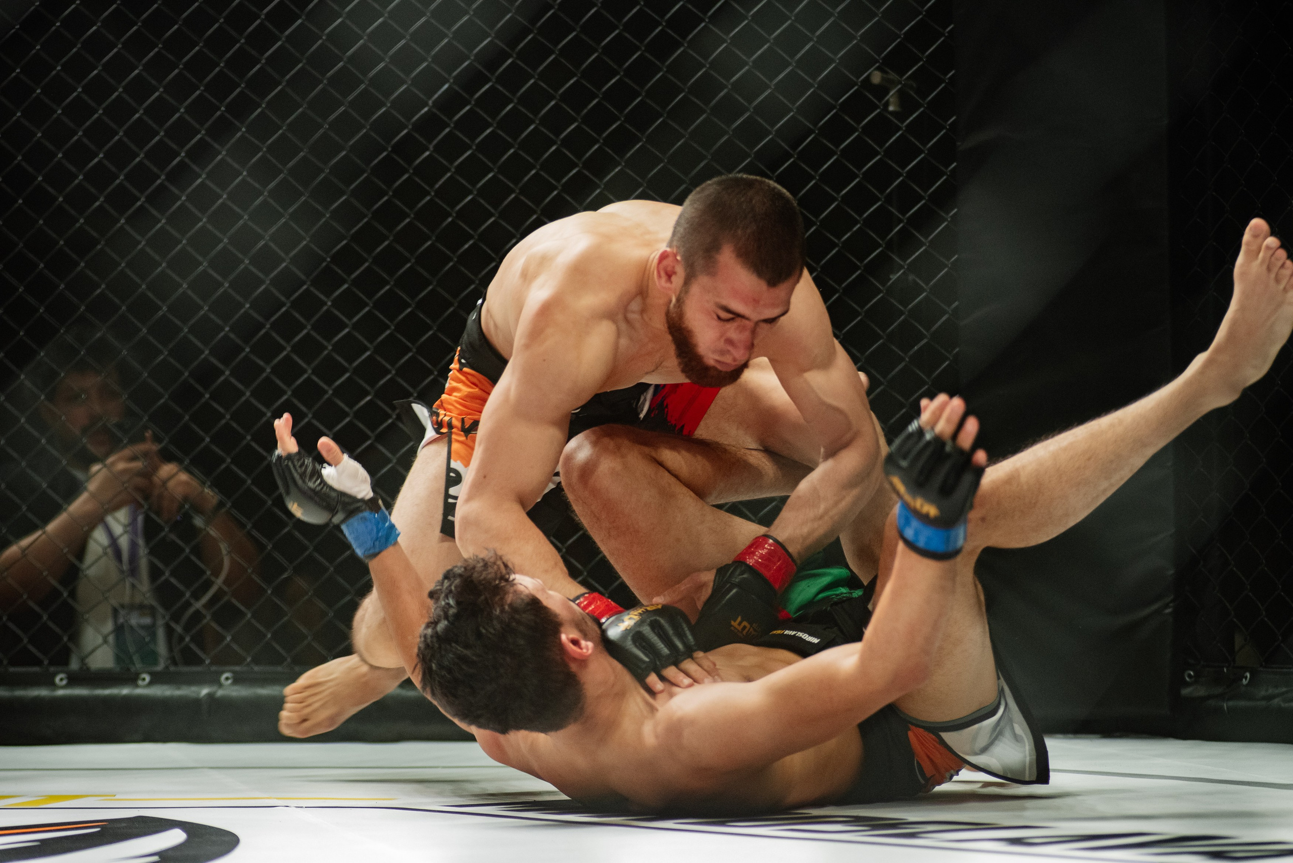 Miroslava Fight