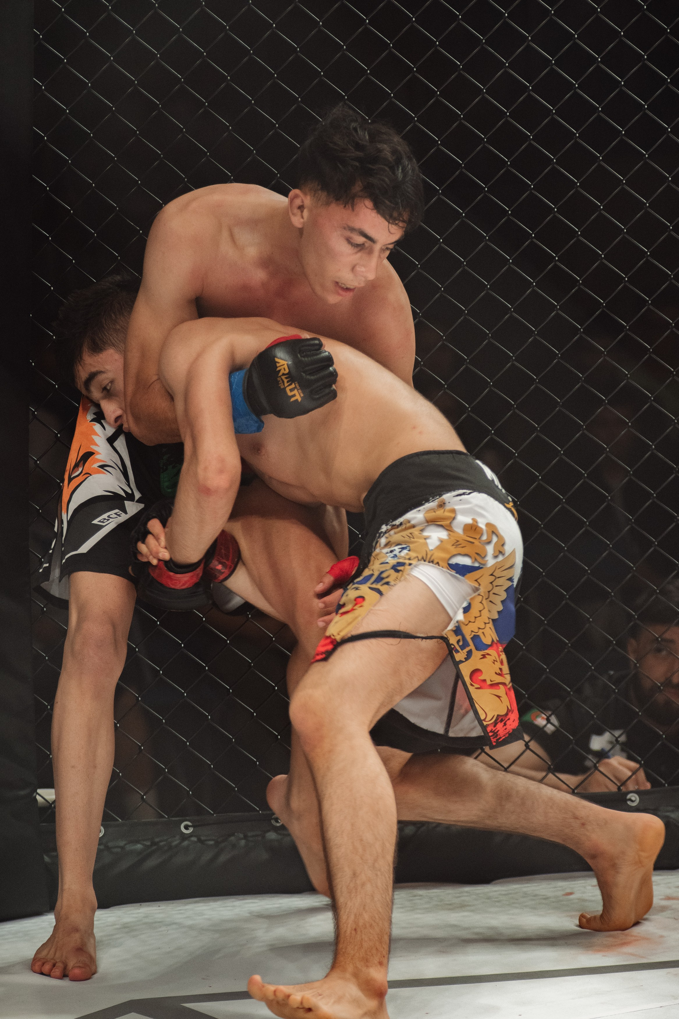 Miroslava Fight