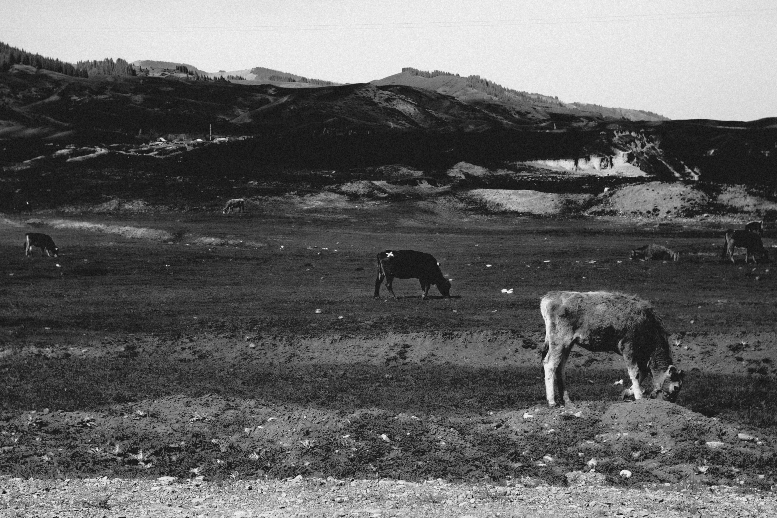 Qazaqstan. Игорь Гичка. Портрет с любовью