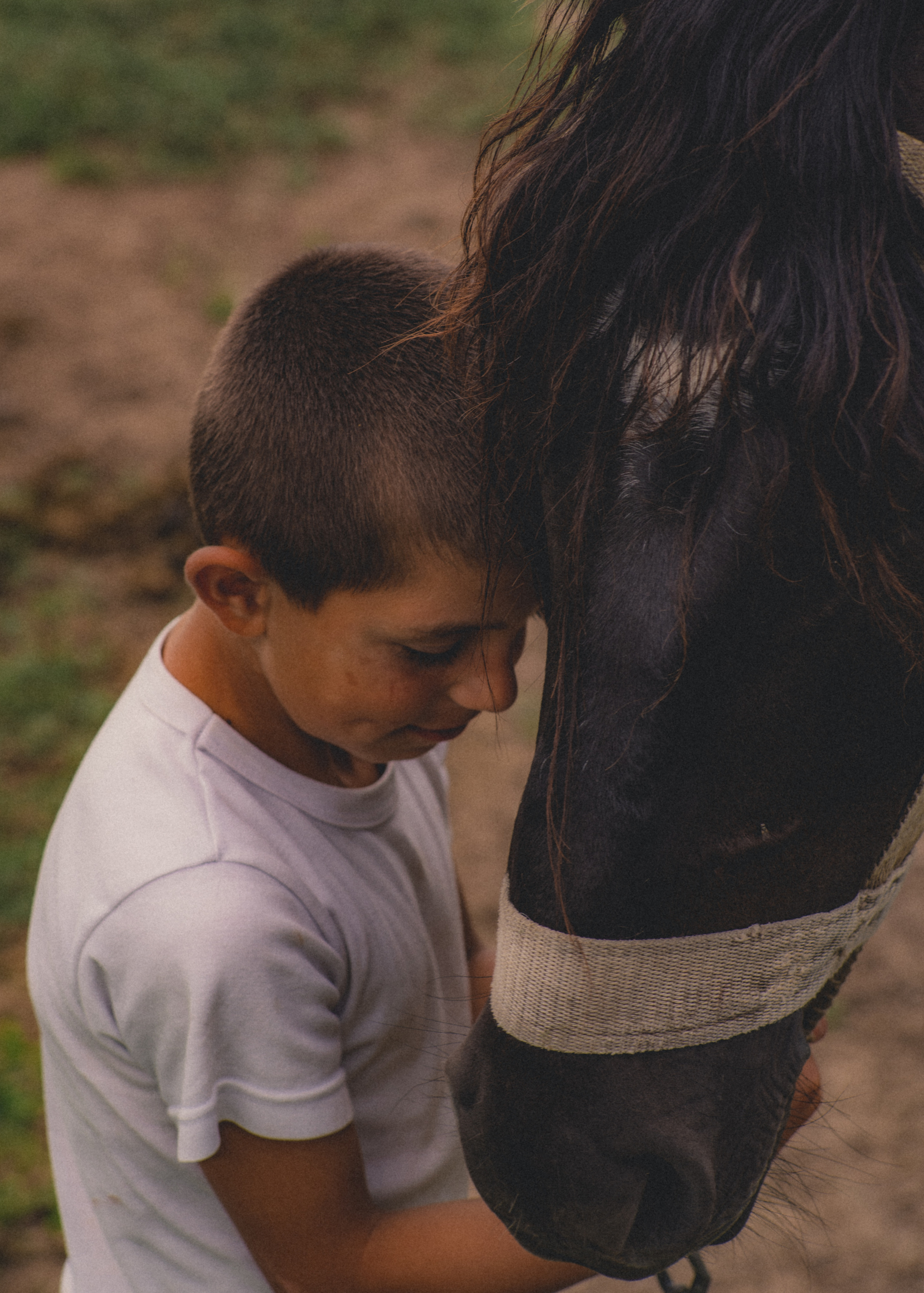 Hayastan. Игорь Гичка. Портрет с любовью