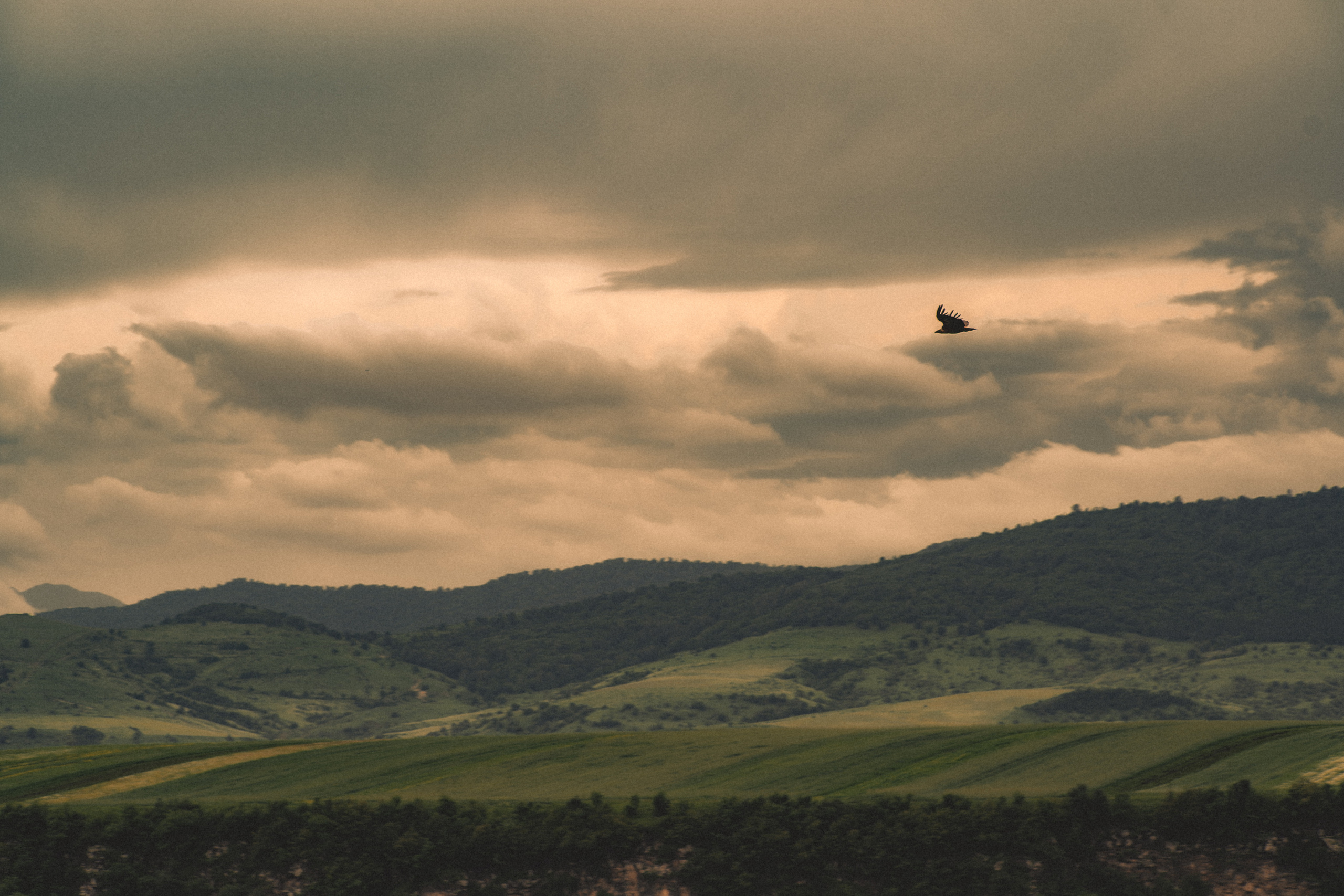 Hayastan. Игорь Гичка. Портрет с любовью