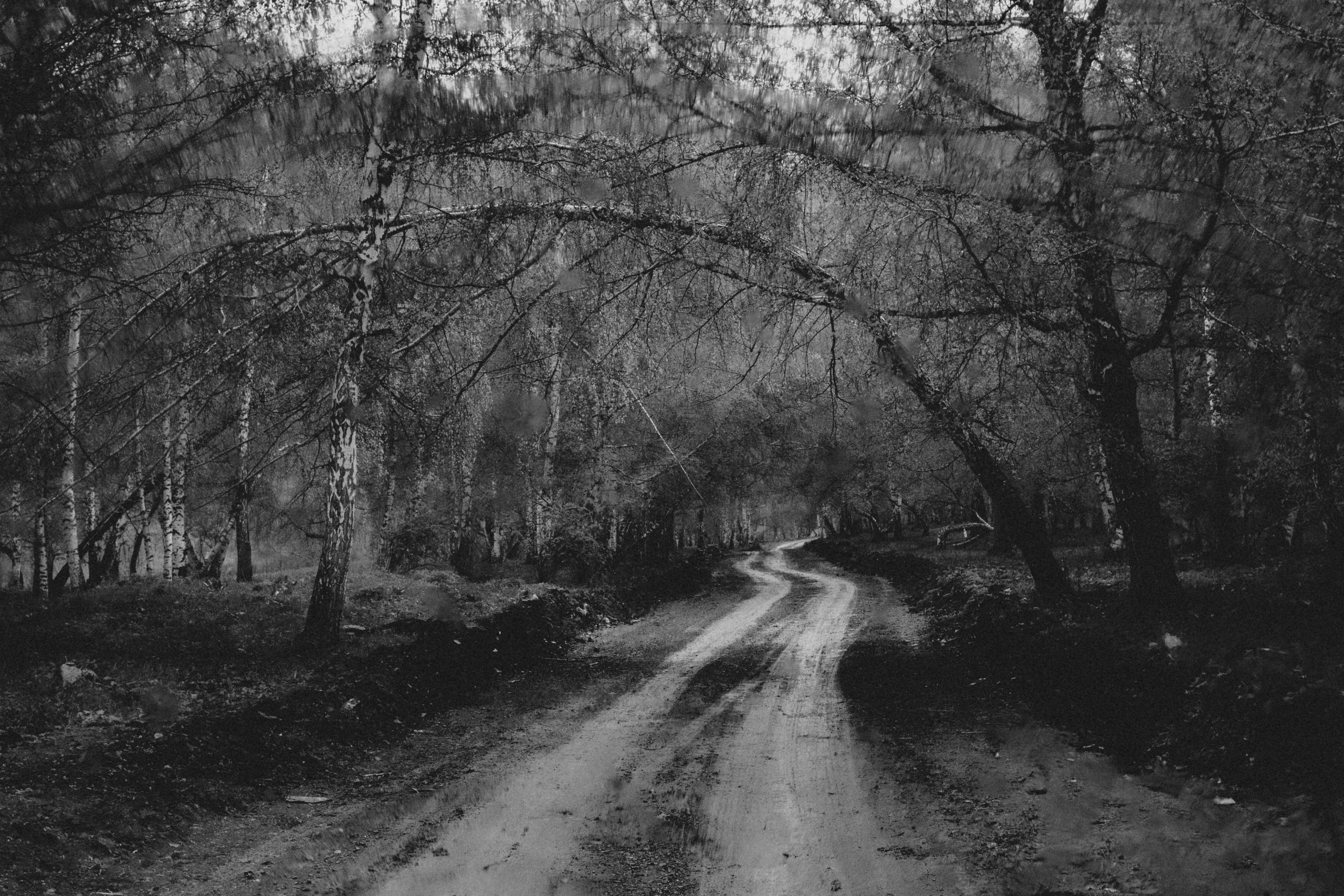 Qazaqstan. Игорь Гичка. Портрет с любовью