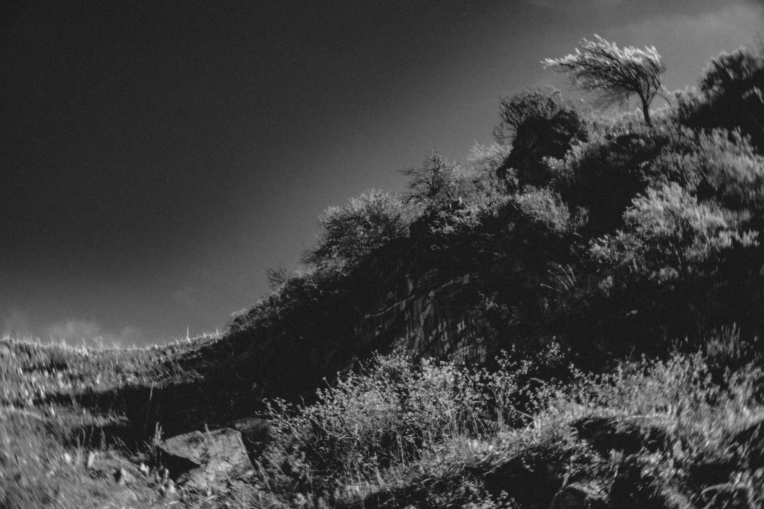 Qazaqstan. Игорь Гичка. Портрет с любовью