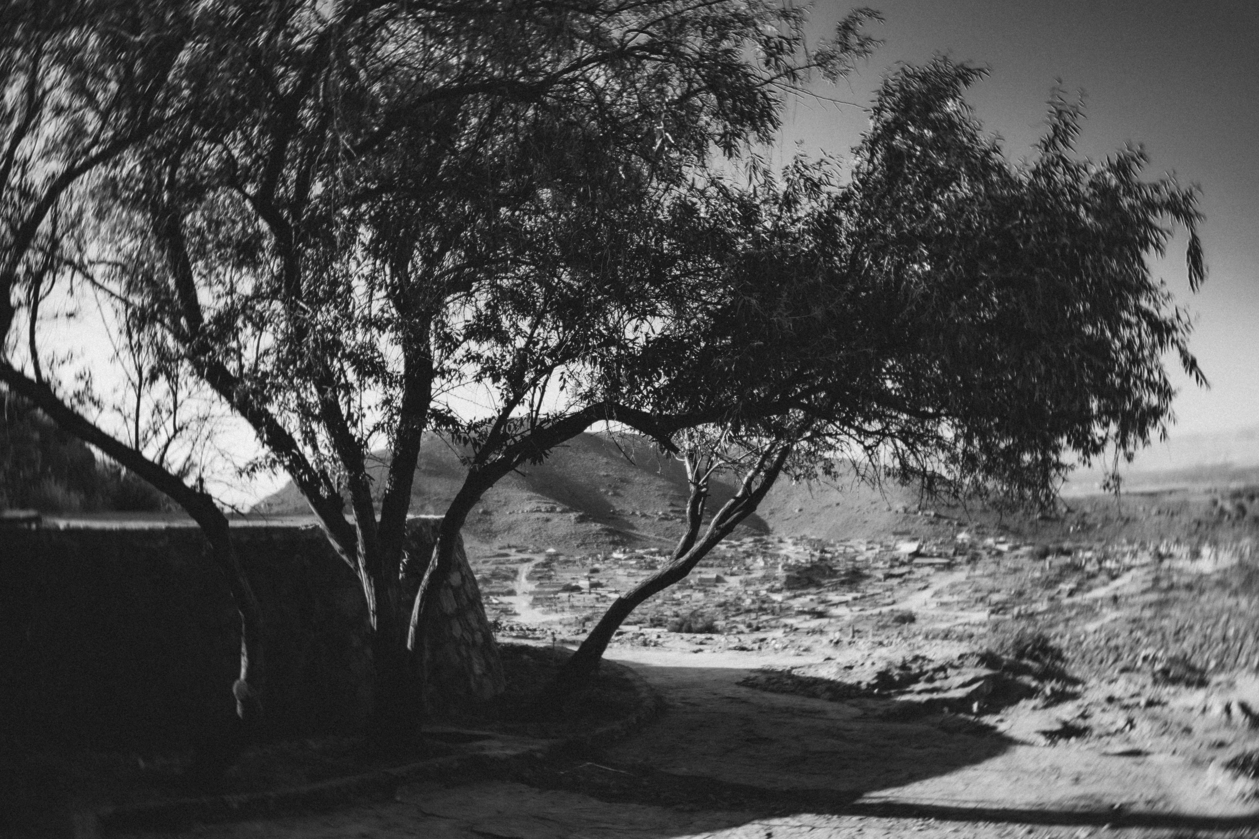 Hayastan. Игорь Гичка. Портрет с любовью