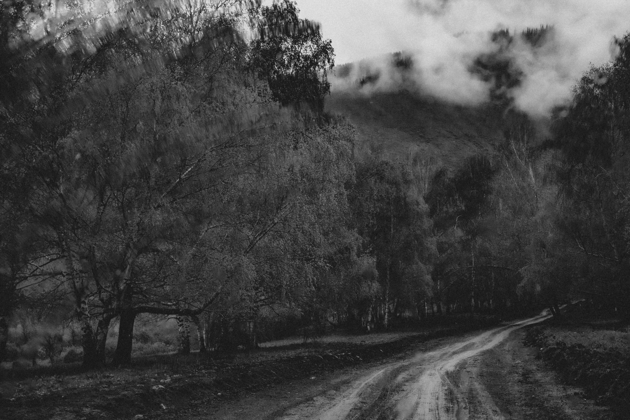 Qazaqstan. Игорь Гичка. Портрет с любовью