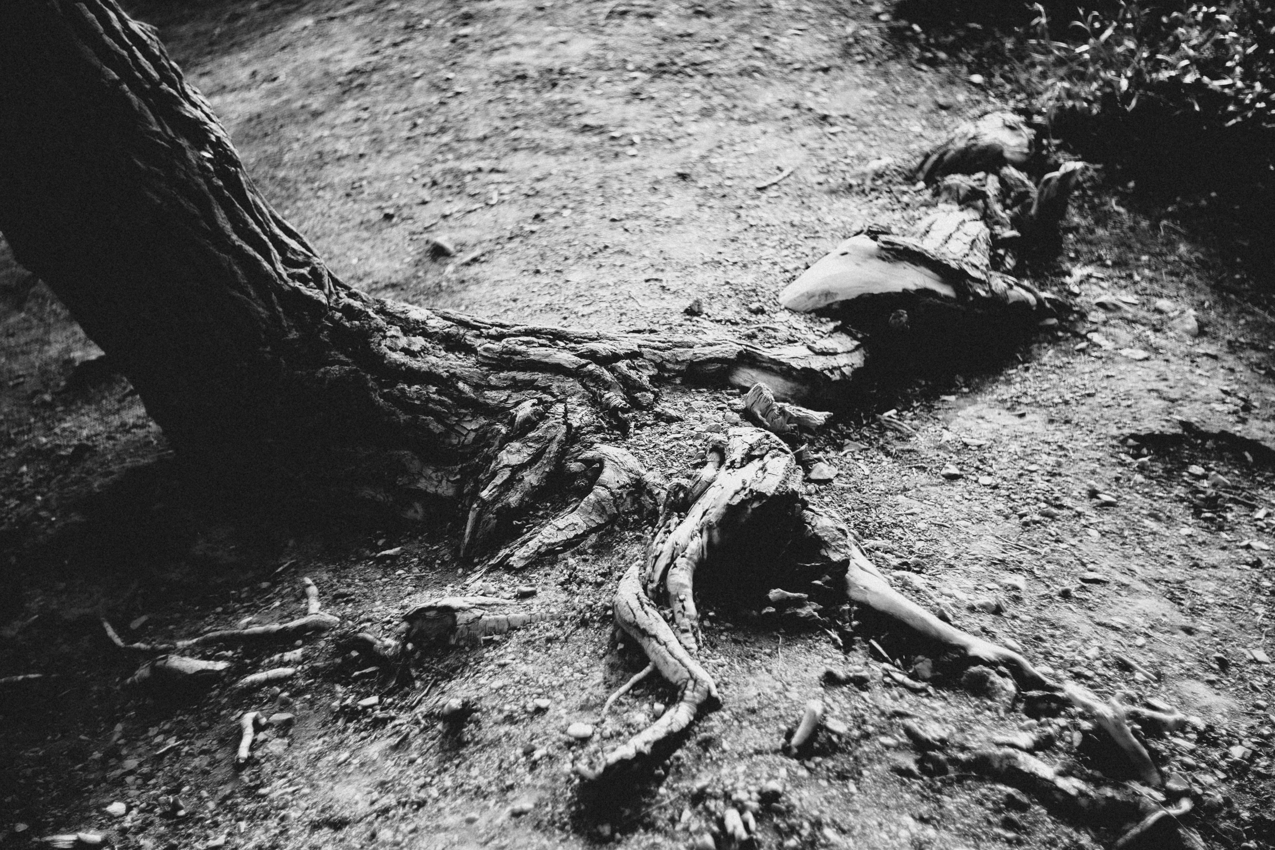 Qazaqstan. Игорь Гичка. Портрет с любовью