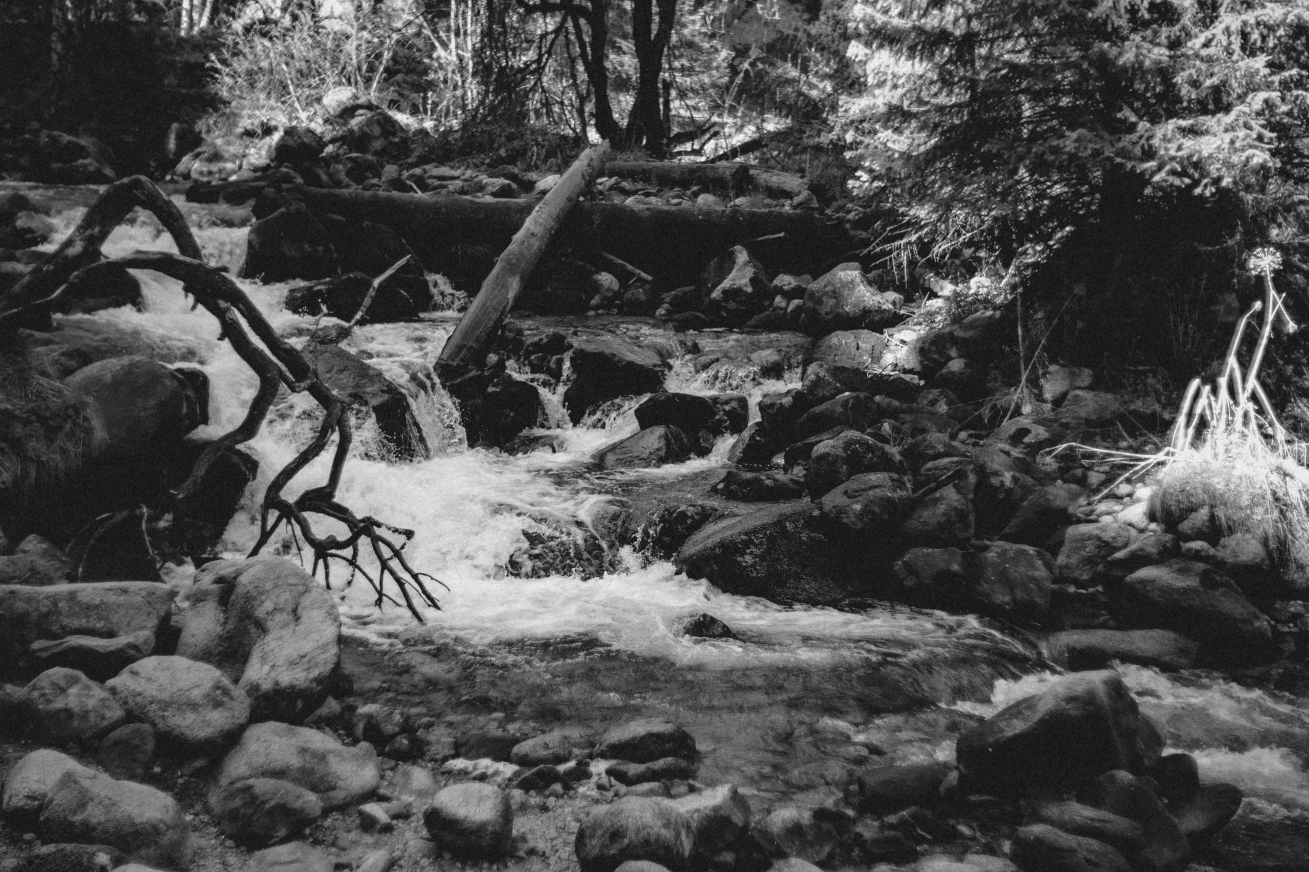 Qazaqstan. Игорь Гичка. Портрет с любовью