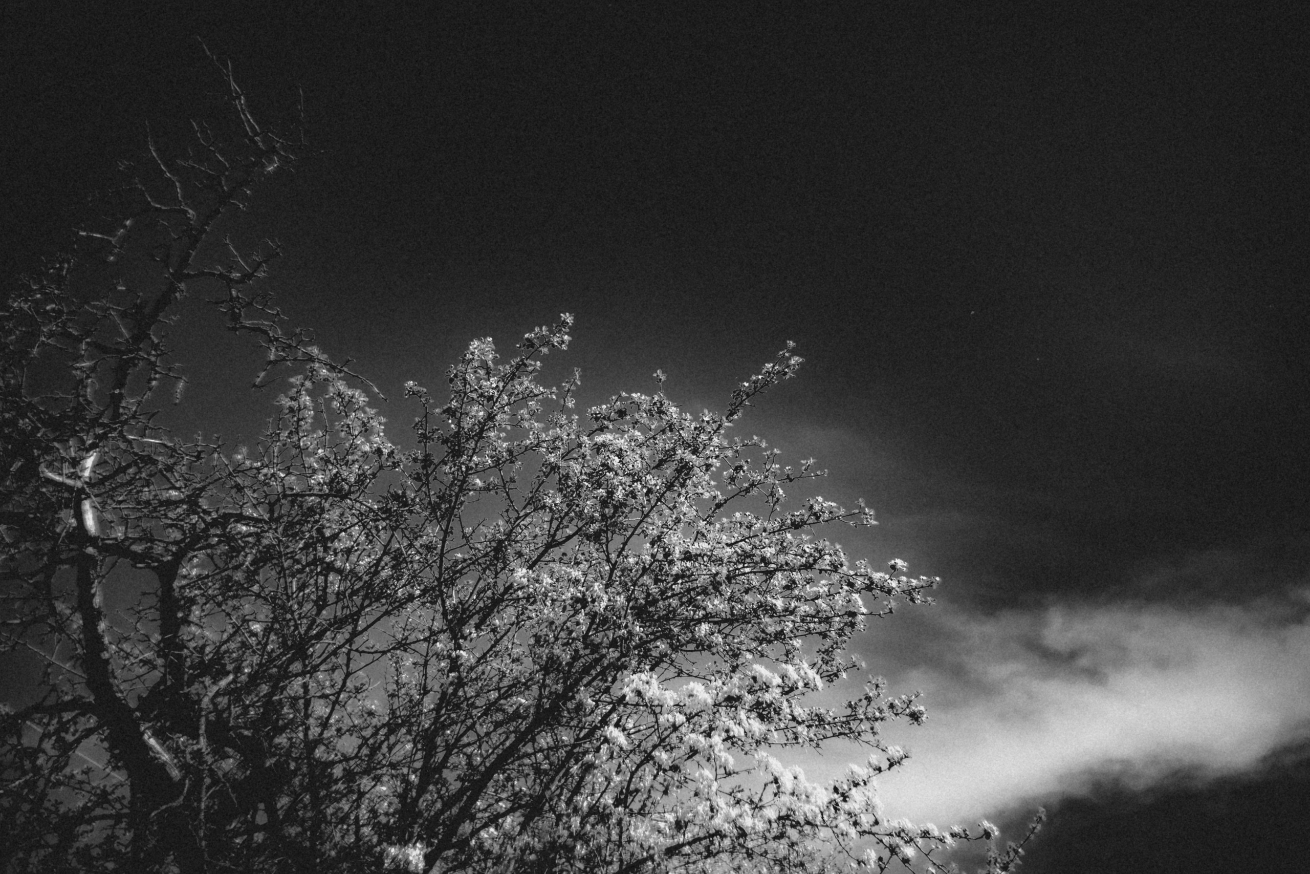 Qazaqstan. Игорь Гичка. Портрет с любовью