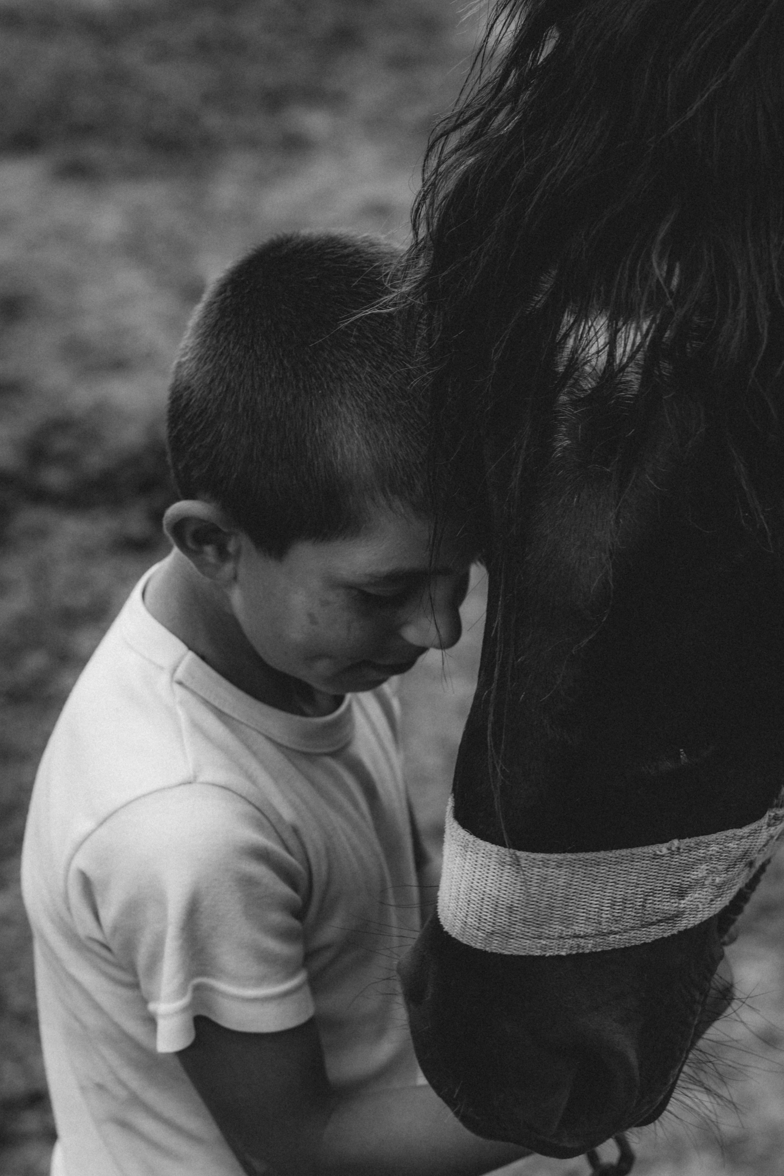 Hayastan. Игорь Гичка. Портрет с любовью