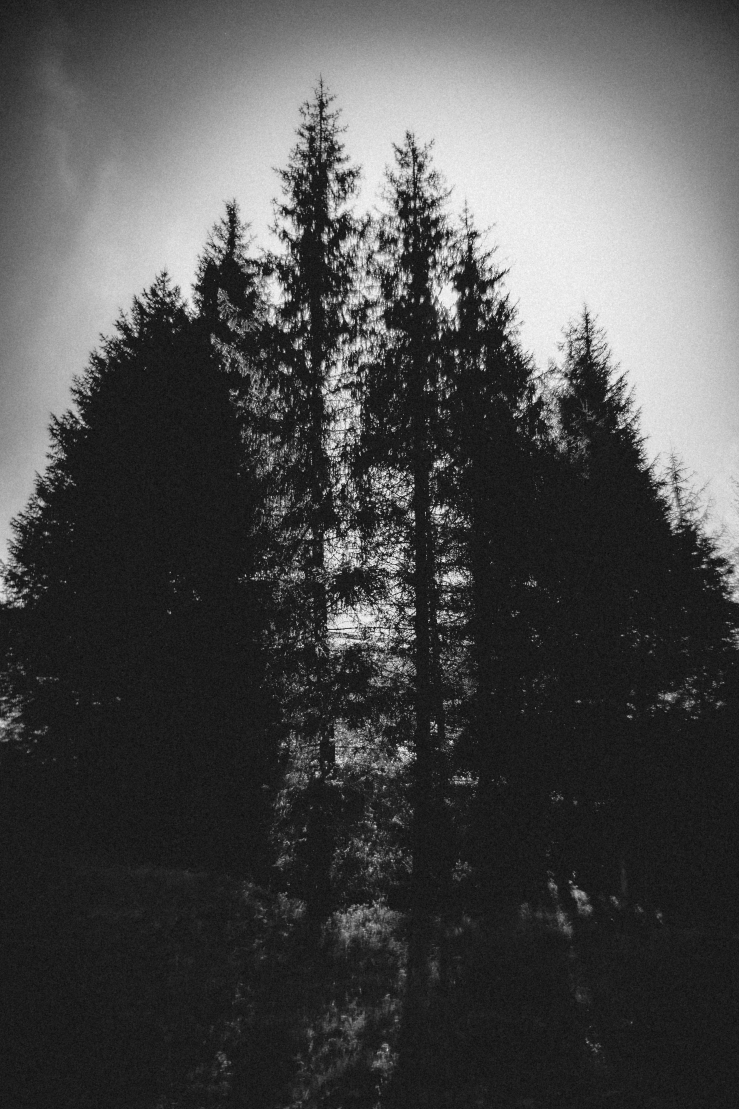 Qazaqstan. Игорь Гичка. Портрет с любовью