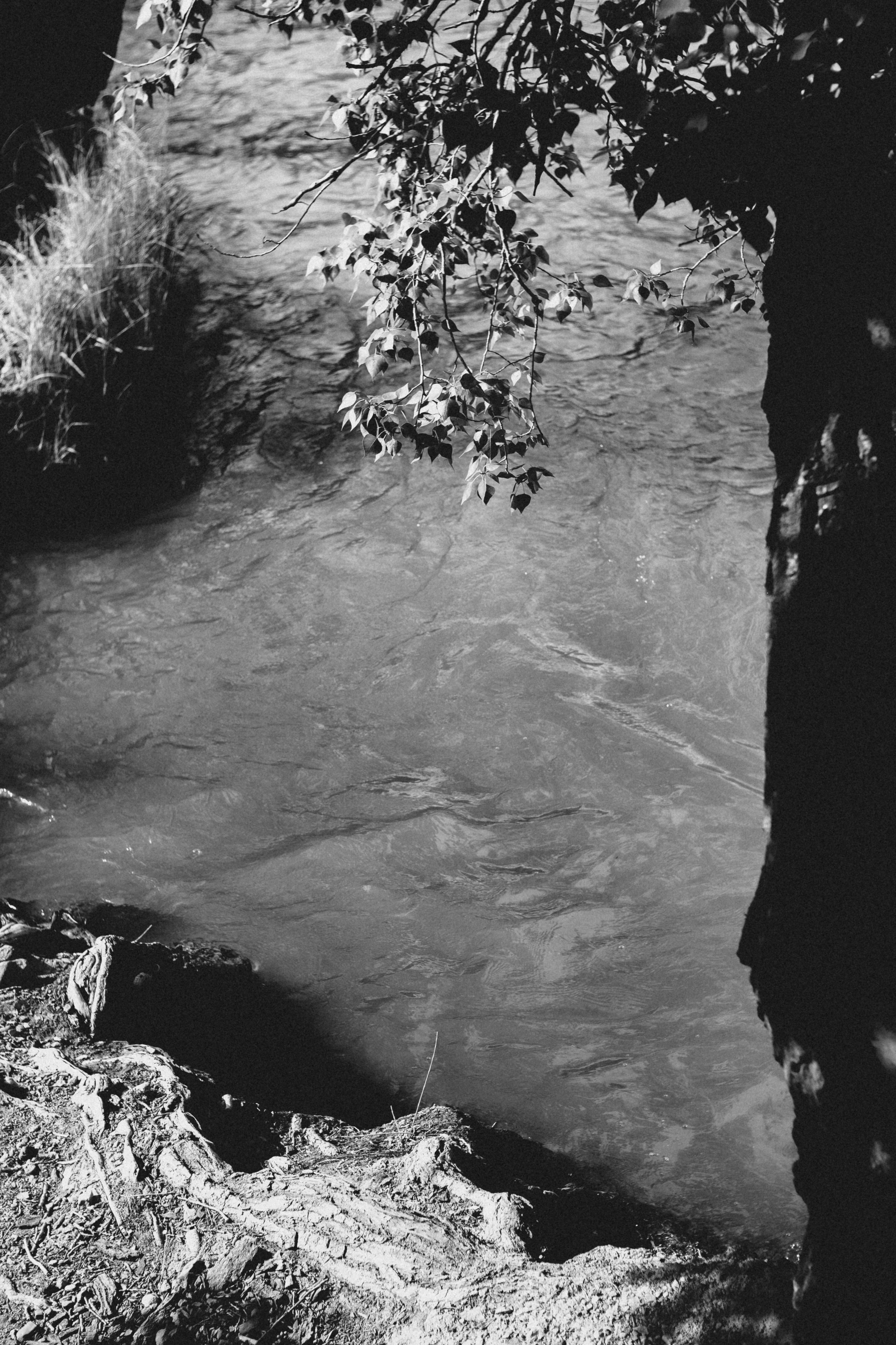 Qazaqstan. Игорь Гичка. Портрет с любовью