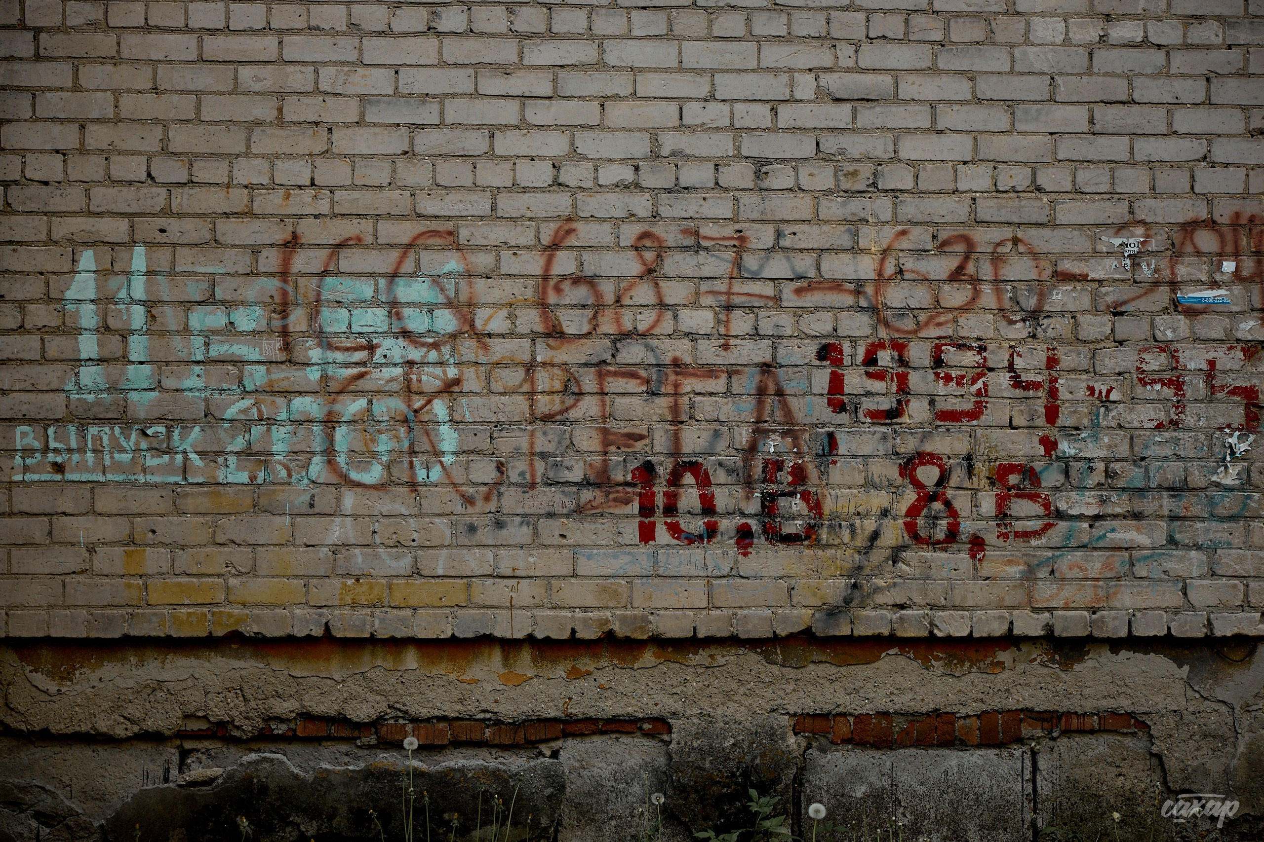 Что вижу, то и пою! от 2024_06_11. Профессиональный фотограф в Екатеринбурге Юра Сахар