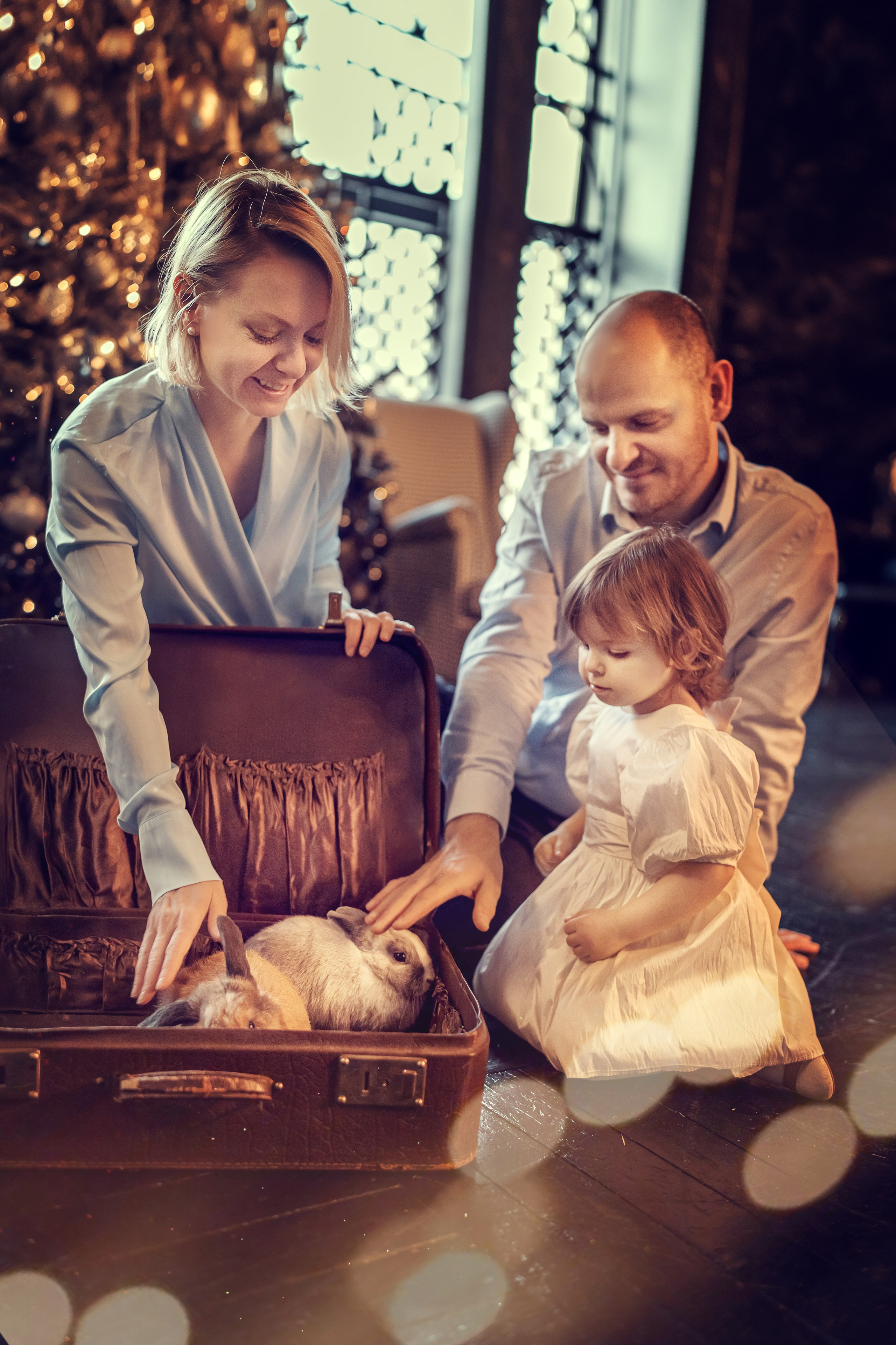 Новогодняя семейная фотосессия| Татьяна Дубова | Санкт-Петербург. Портретный и семейный фотограф в Санкт-Петербурге Татьяна Дубова