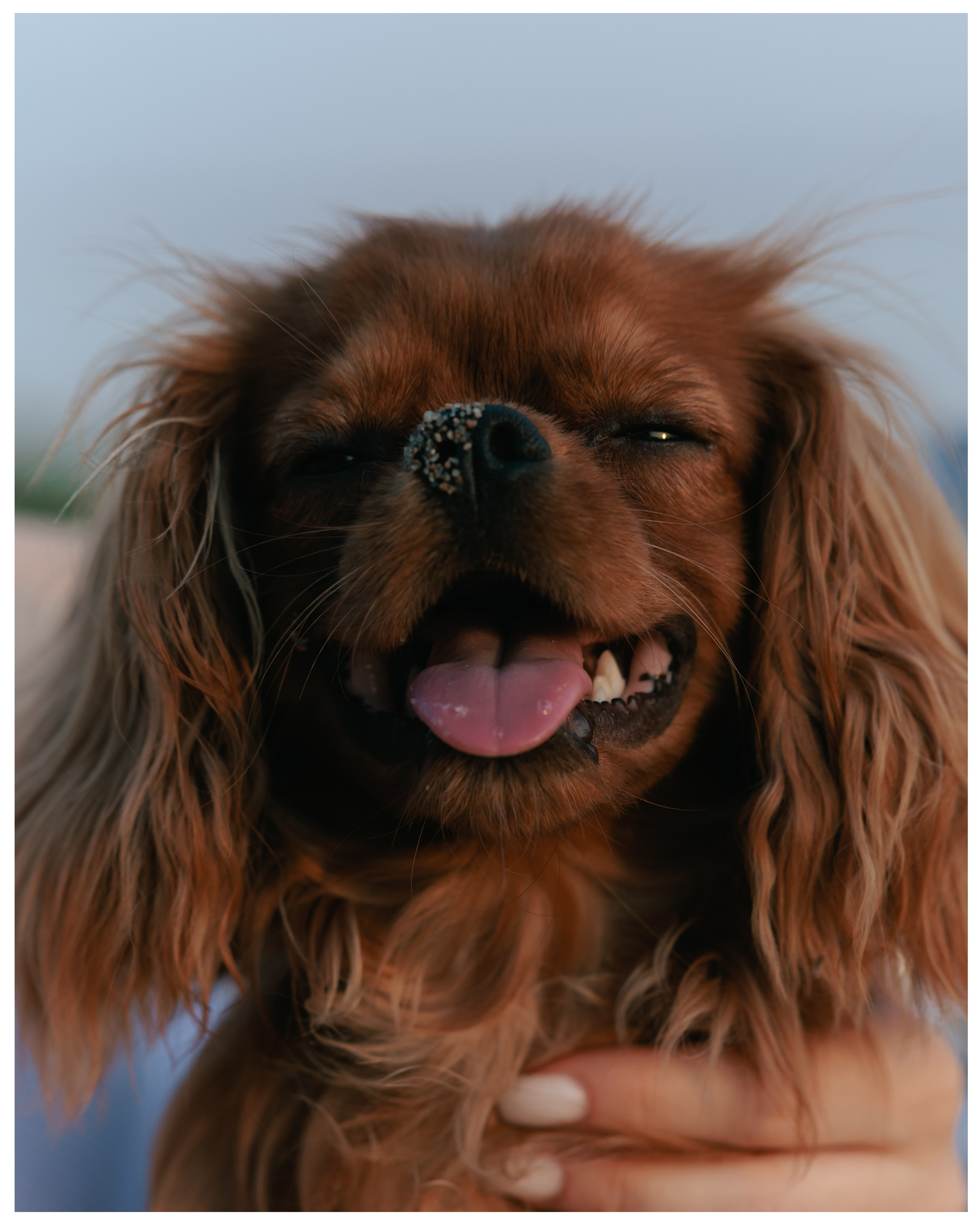 Анна и Юпи. Фотограф в Санкт-Петербурге Алёна Губинская