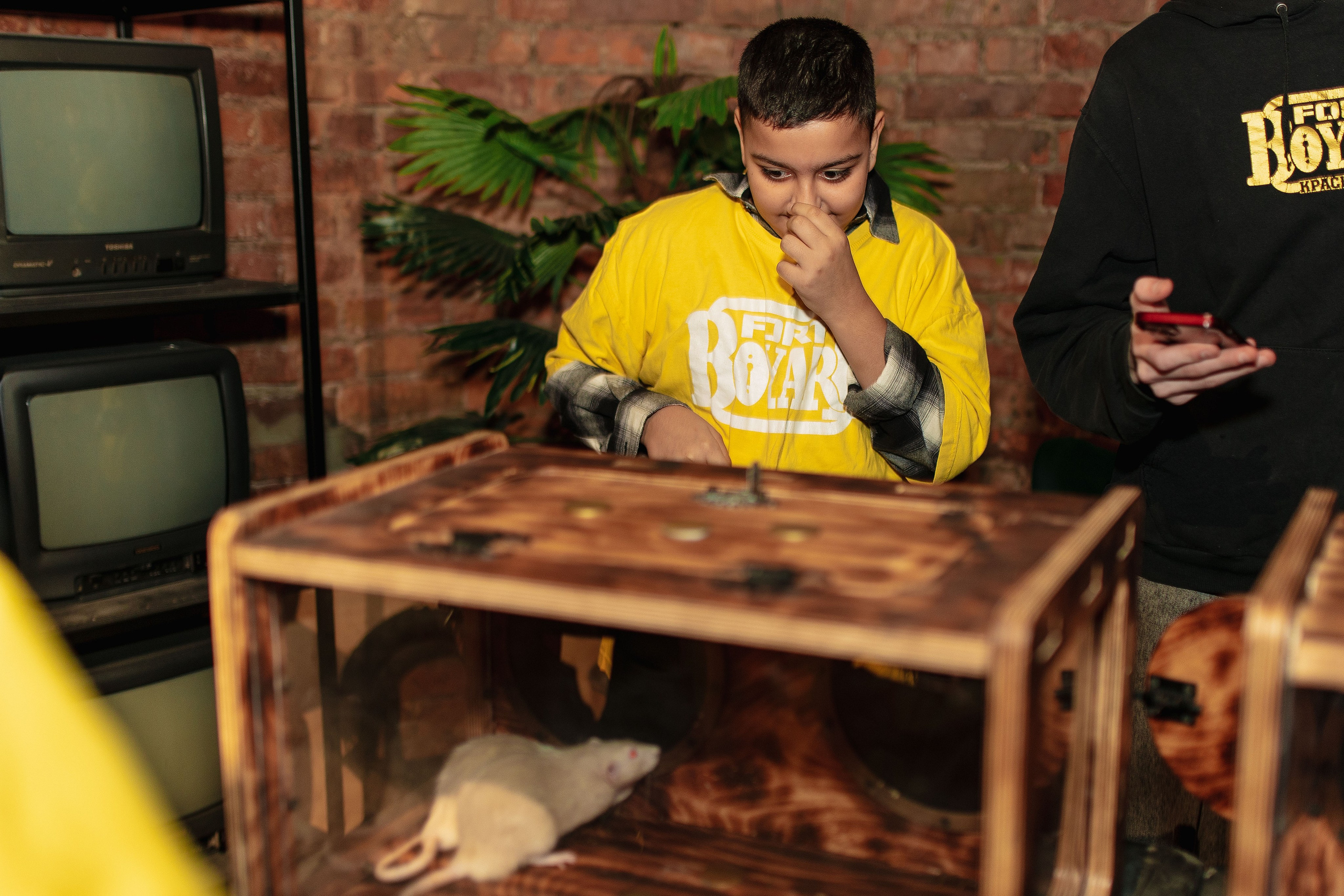 Квест-шоу в Форт Боярд с классом. Фотограф в Красноярске по выгодной цене