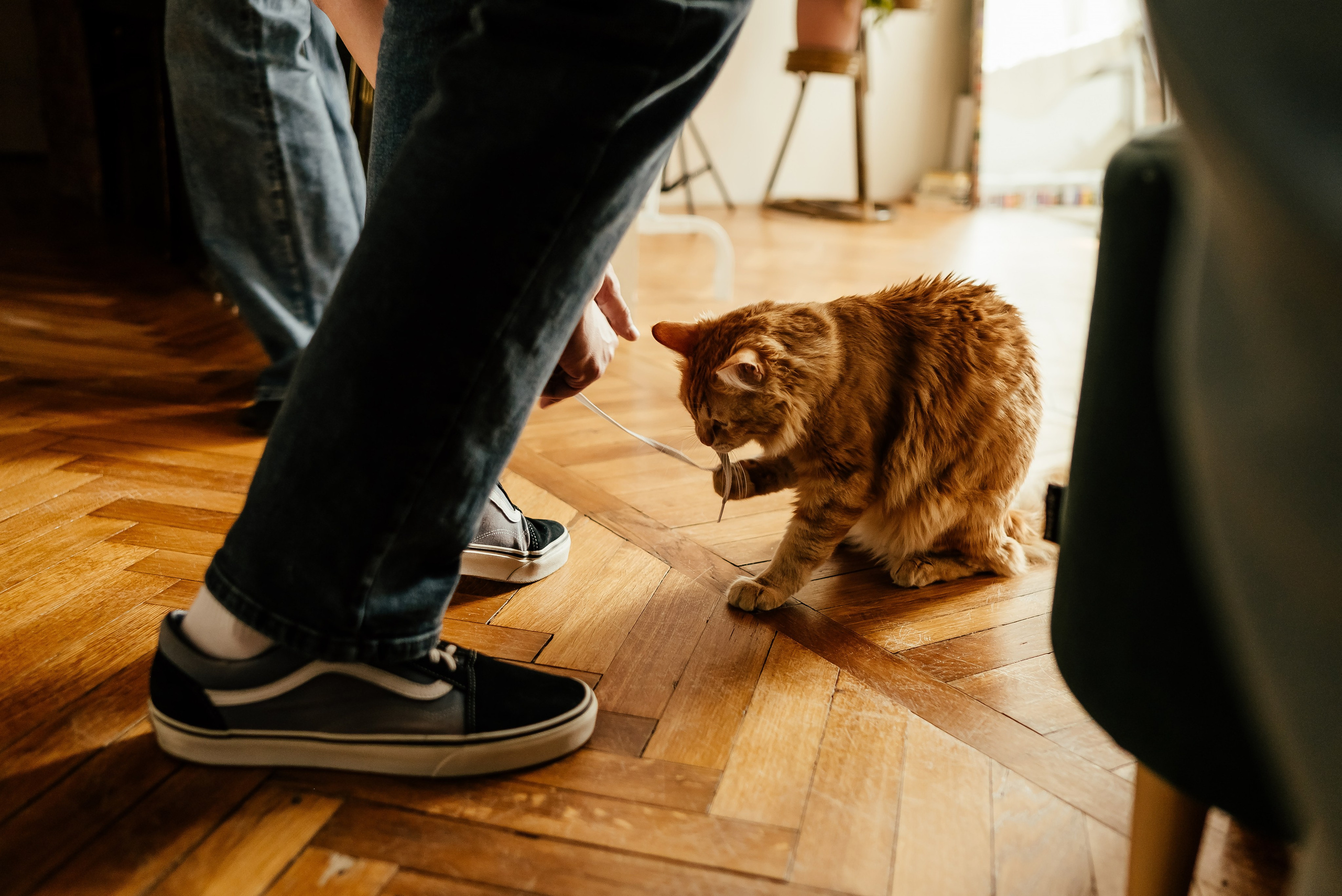 Вита и Ваня. Свадебный фотограф в Ростове Александра Груздева