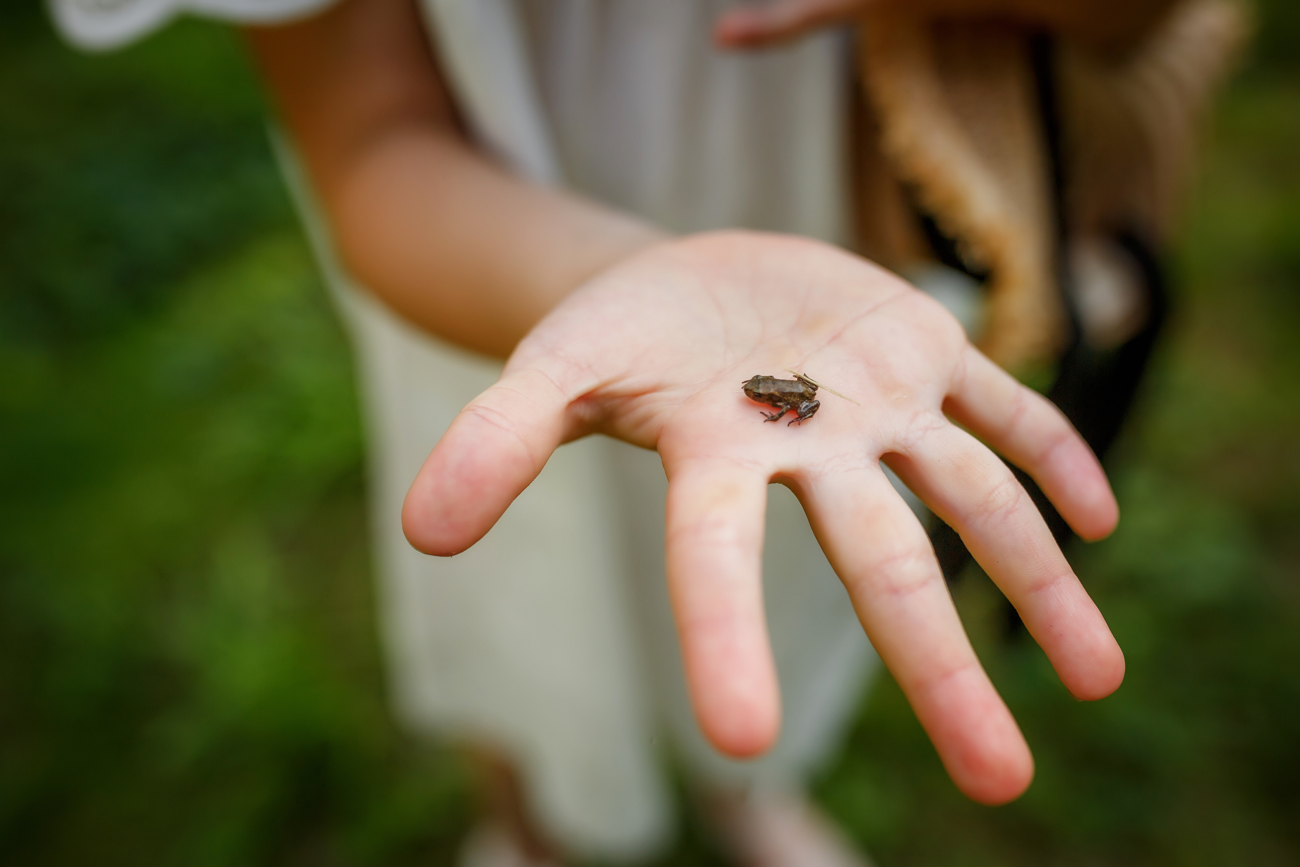 Шалашная. Фотокоуч Катерина Каледина