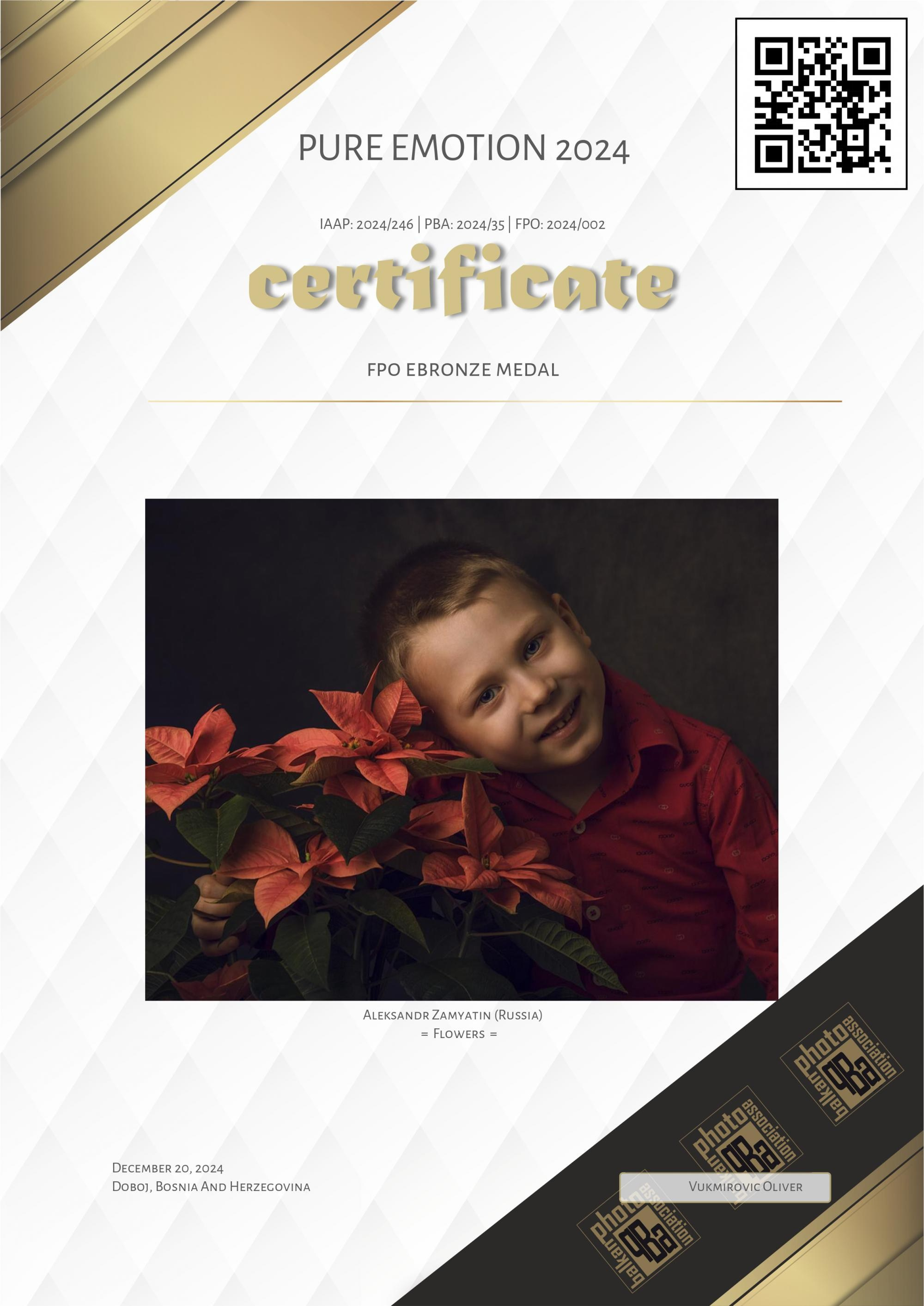 Мои награды