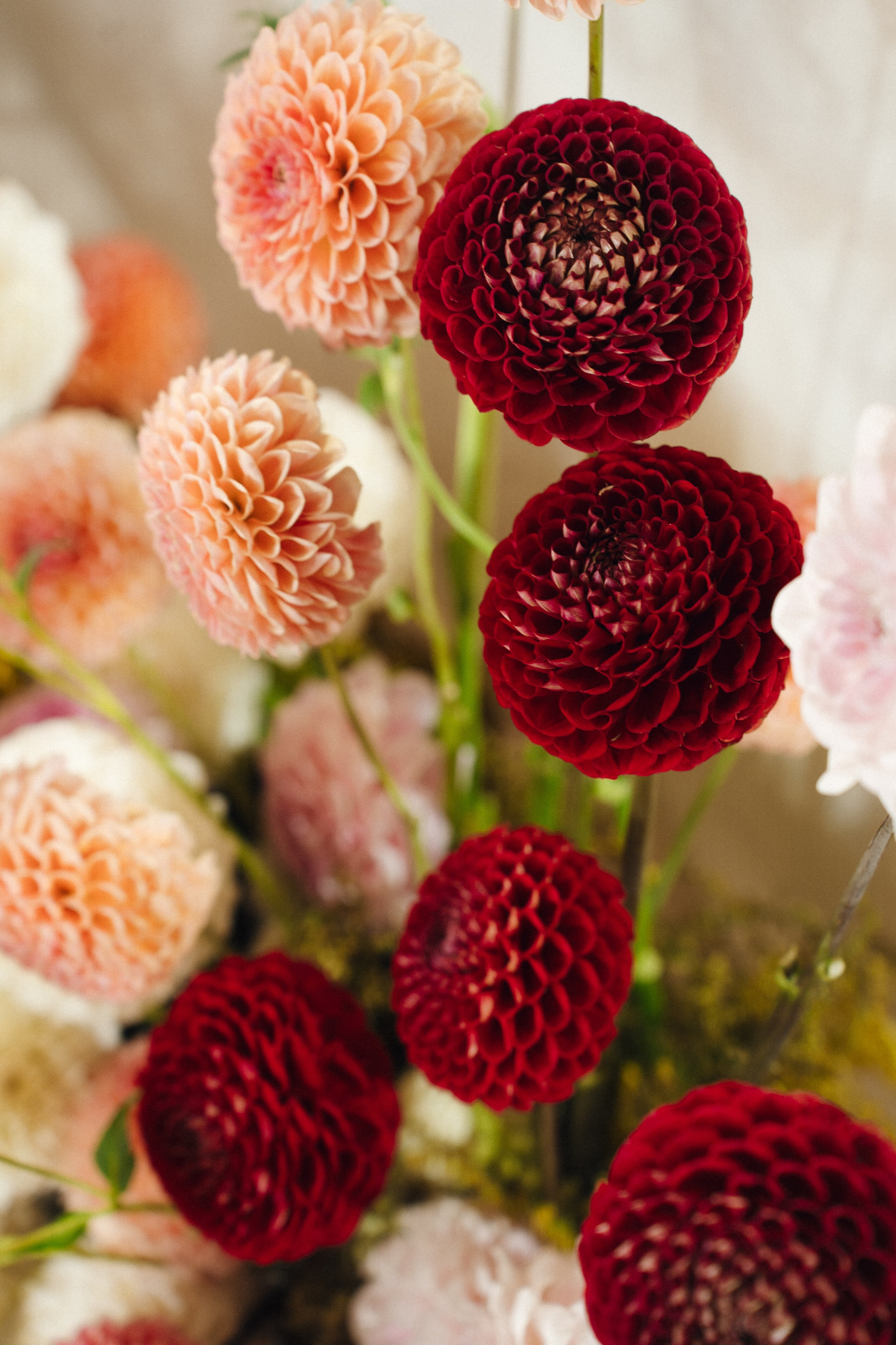 Катя & Егор. Оформление свадеб, декор свадеб Вера Маркова, Москва