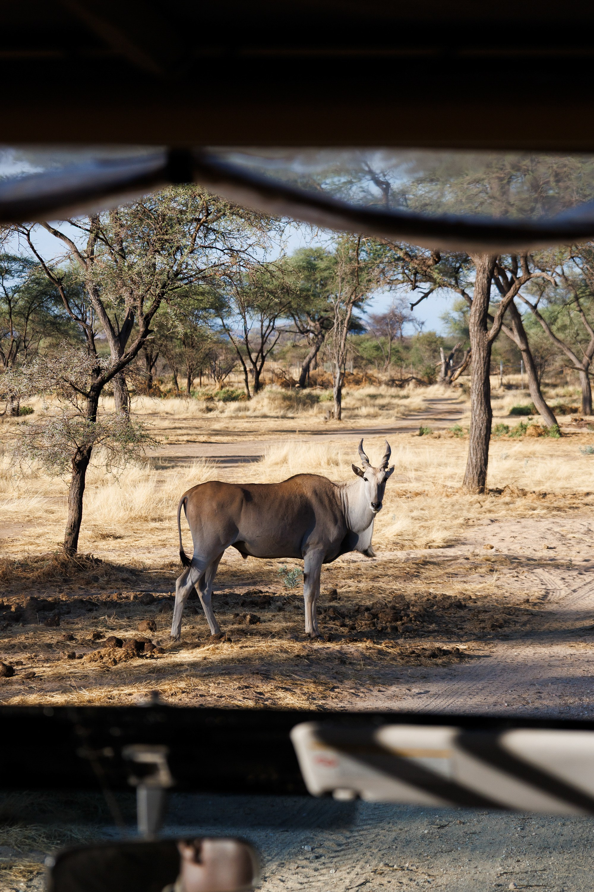 НАМИБИЯ. Роадтрип