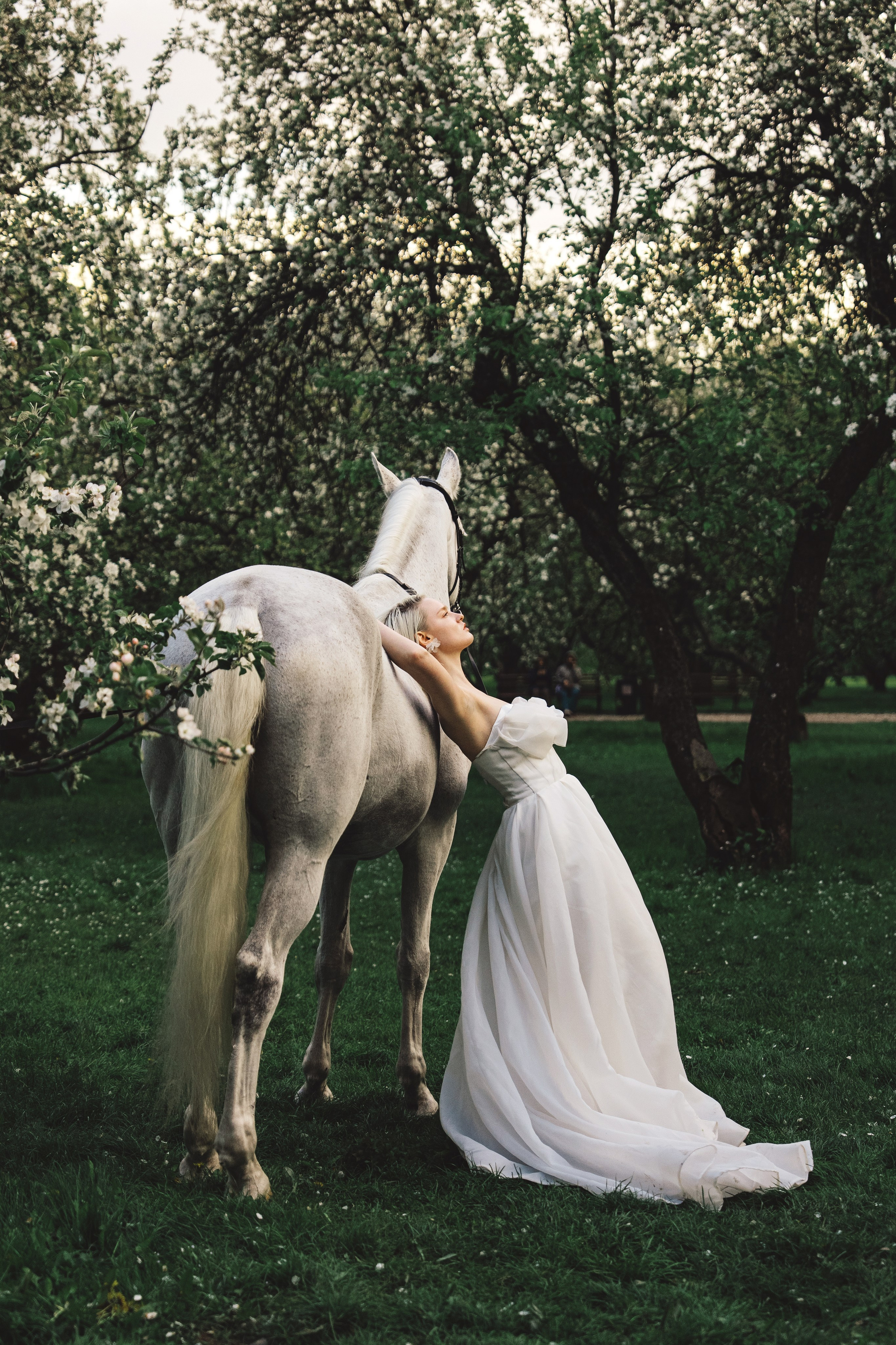 Даша и Рома. Главная