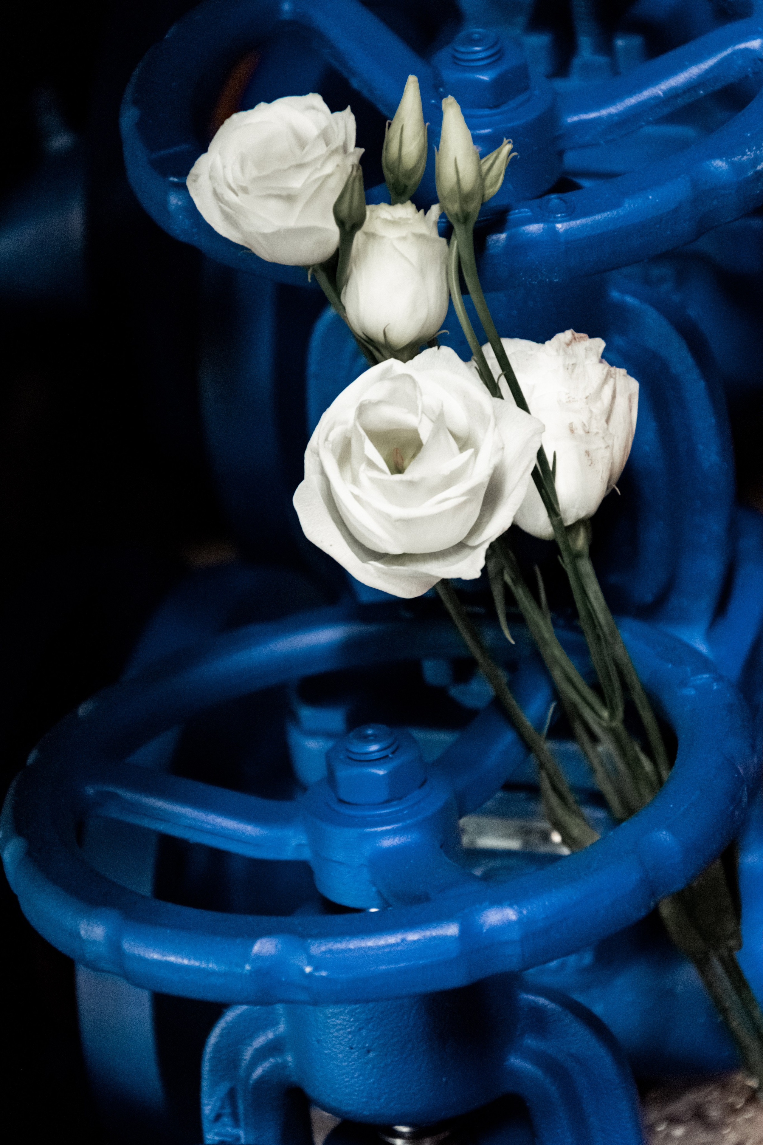 Контент-съёмка для бизнеса 