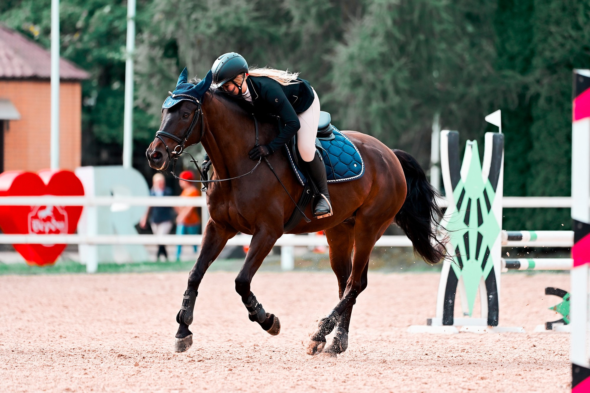 Конкур. Конный фотограф Alesya Safe
