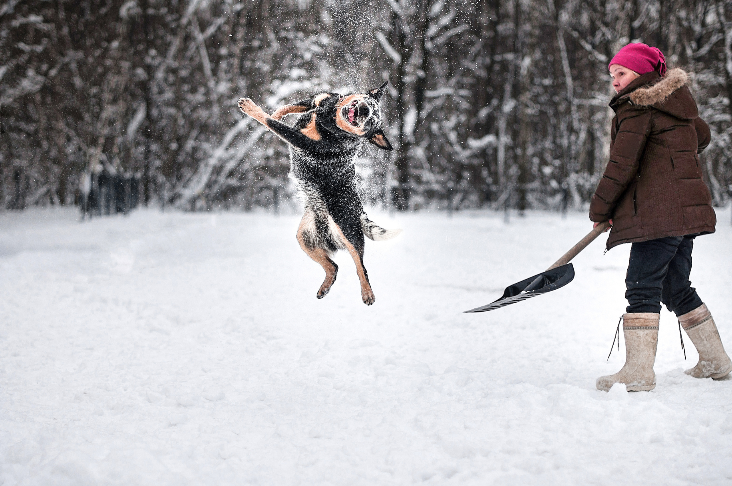 ФОТОСЪЕМКА ЖИВОТНЫХ. Фотограф в Королеве Людмила Потапова
