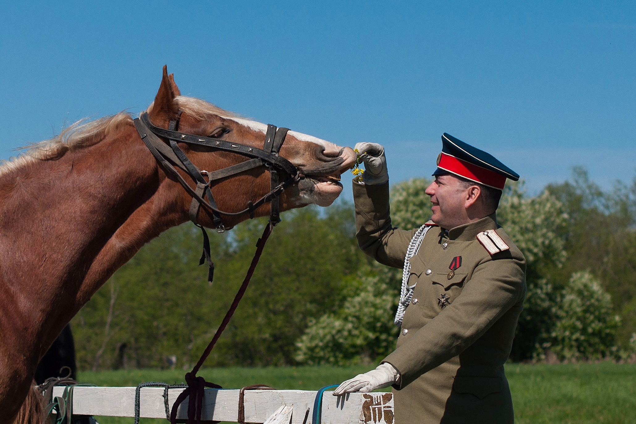 КОННЫЙ ВЫЕЗД В МУРАНОВО. Фотограф в Королеве Людмила Потапова