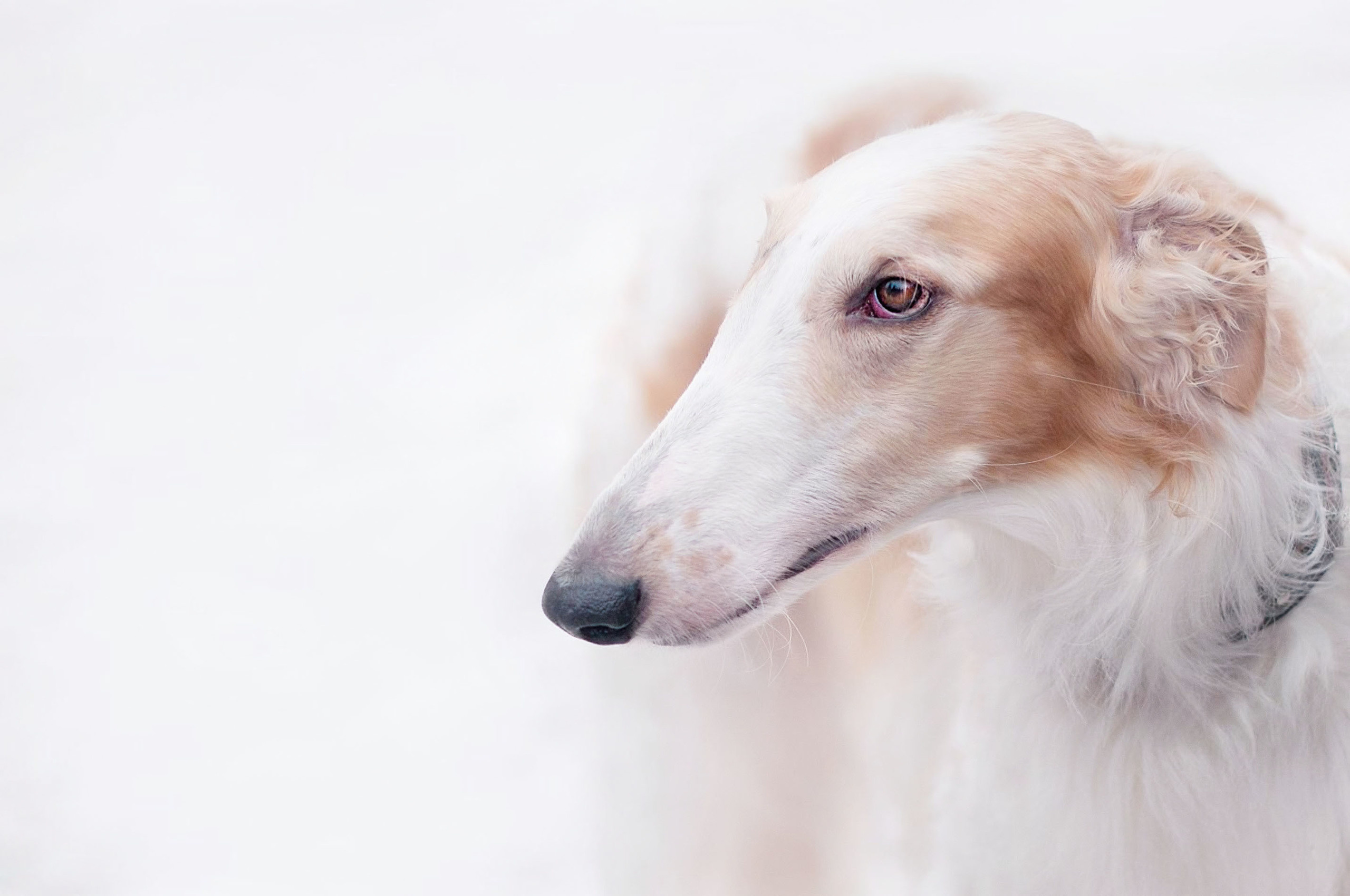 Фотограф в Королеве Людмила Потапова