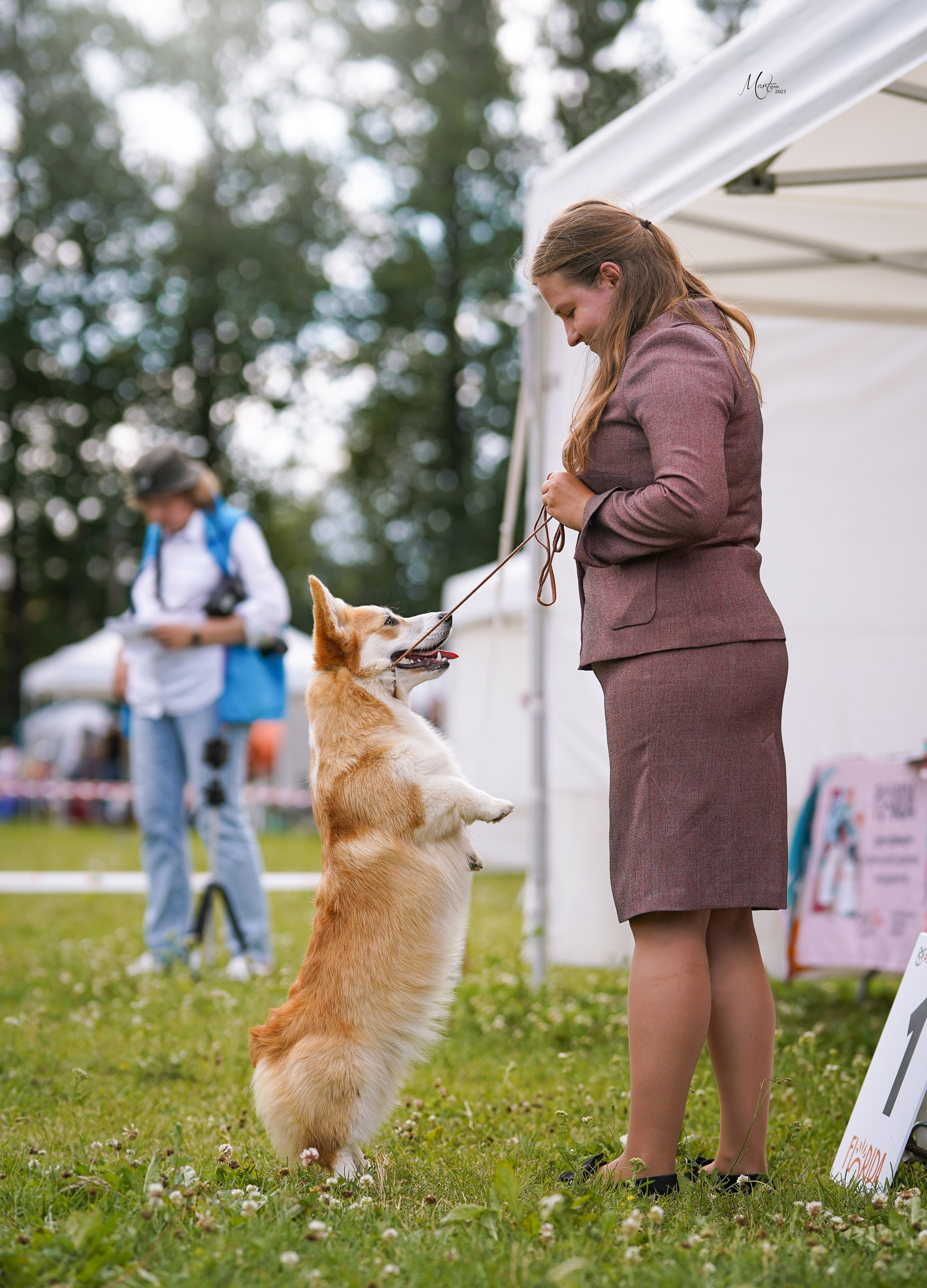 Выставки 2023. Фотограф-анималист в Санкт-Петербурге Яна Мартынова