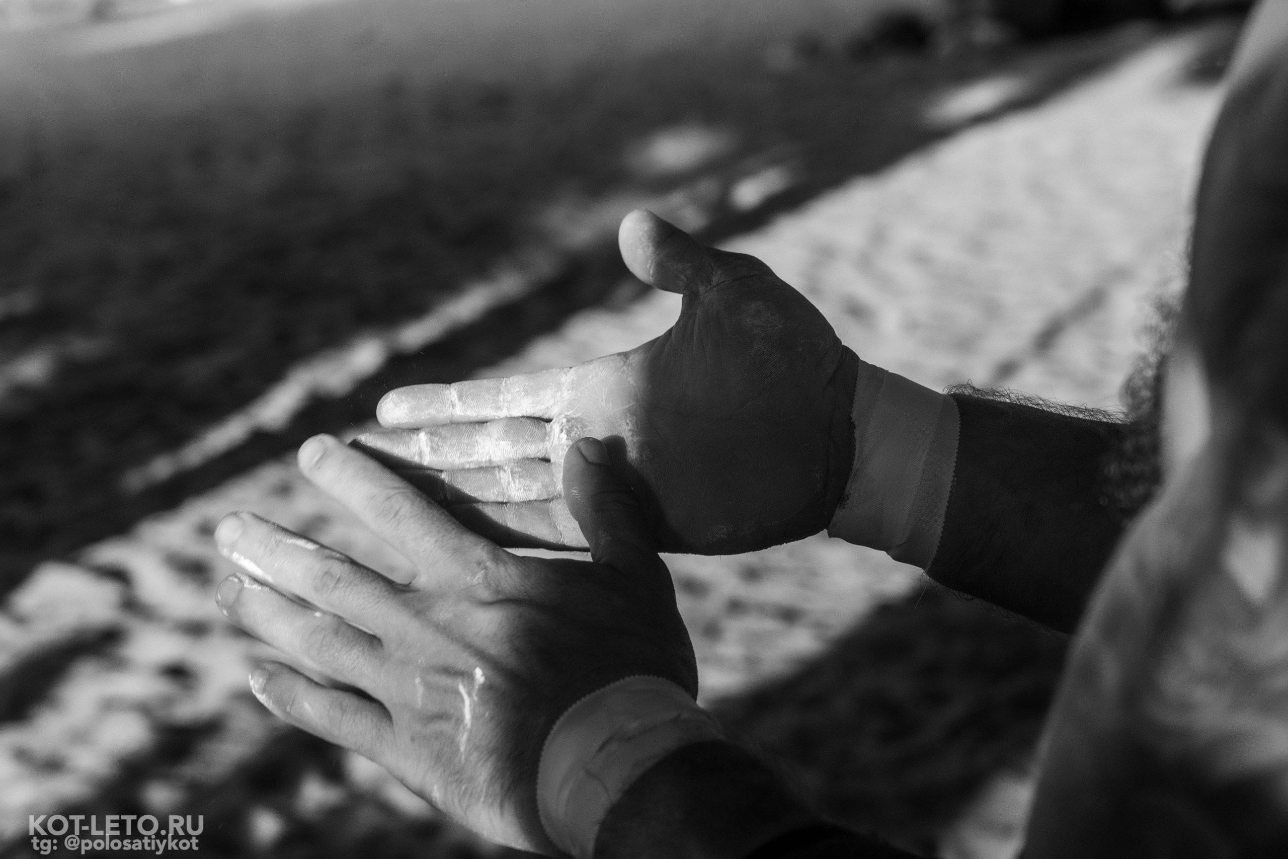 Ring Workout. Твой фотограф — Полосатый кот