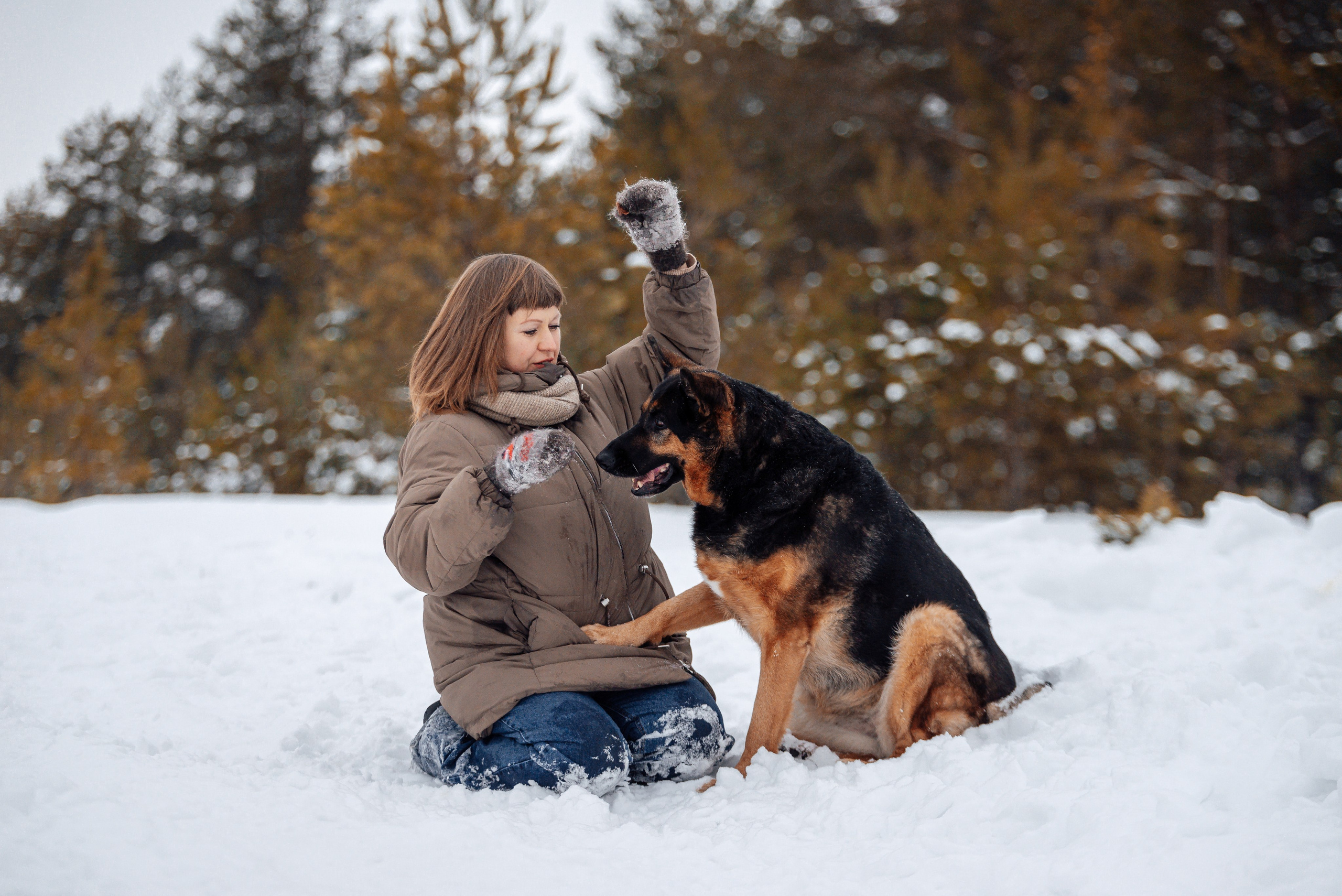 Светлана, Альфа и кошки ✨. Фотограф-анималист Анастасия Парфенова|Екатеринбург