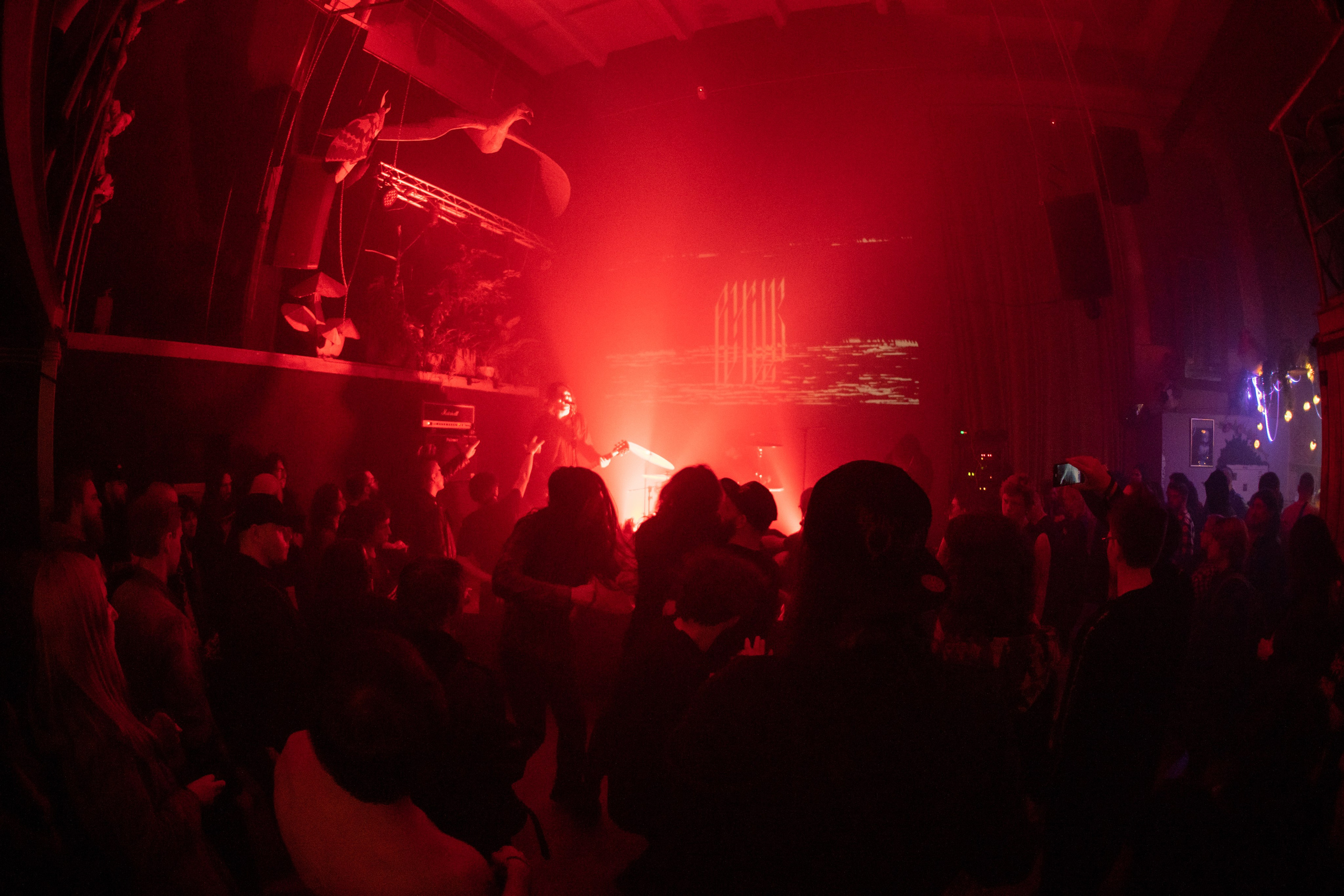 Шторм|Ласточка. Концертный и репортажный фотограф в Санкт-Петербурге Слава Пахомов