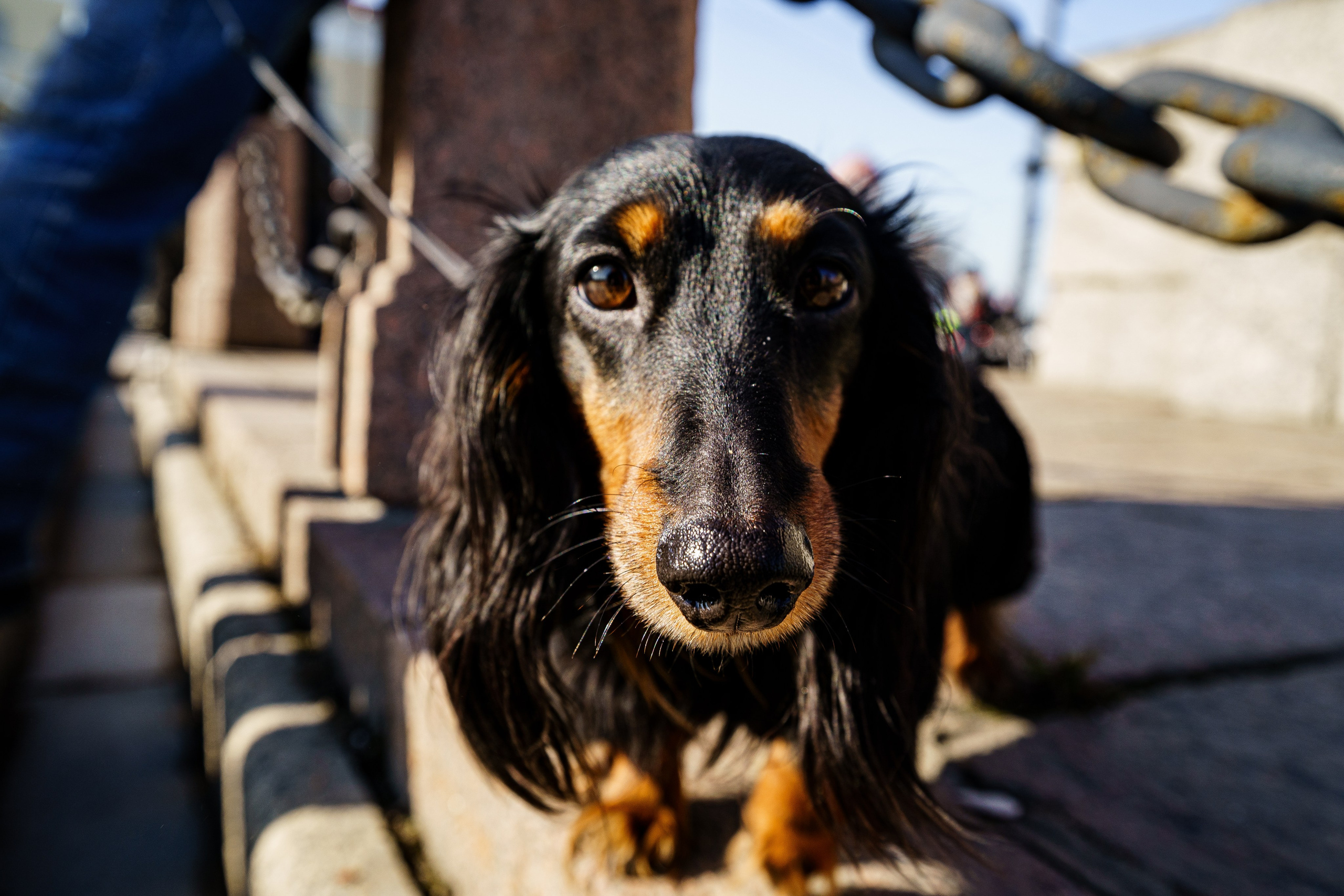 Прохват мотоклуба Norman Riders ч.1. Концертный и репортажный фотограф в Санкт-Петербурге Слава Пахомов