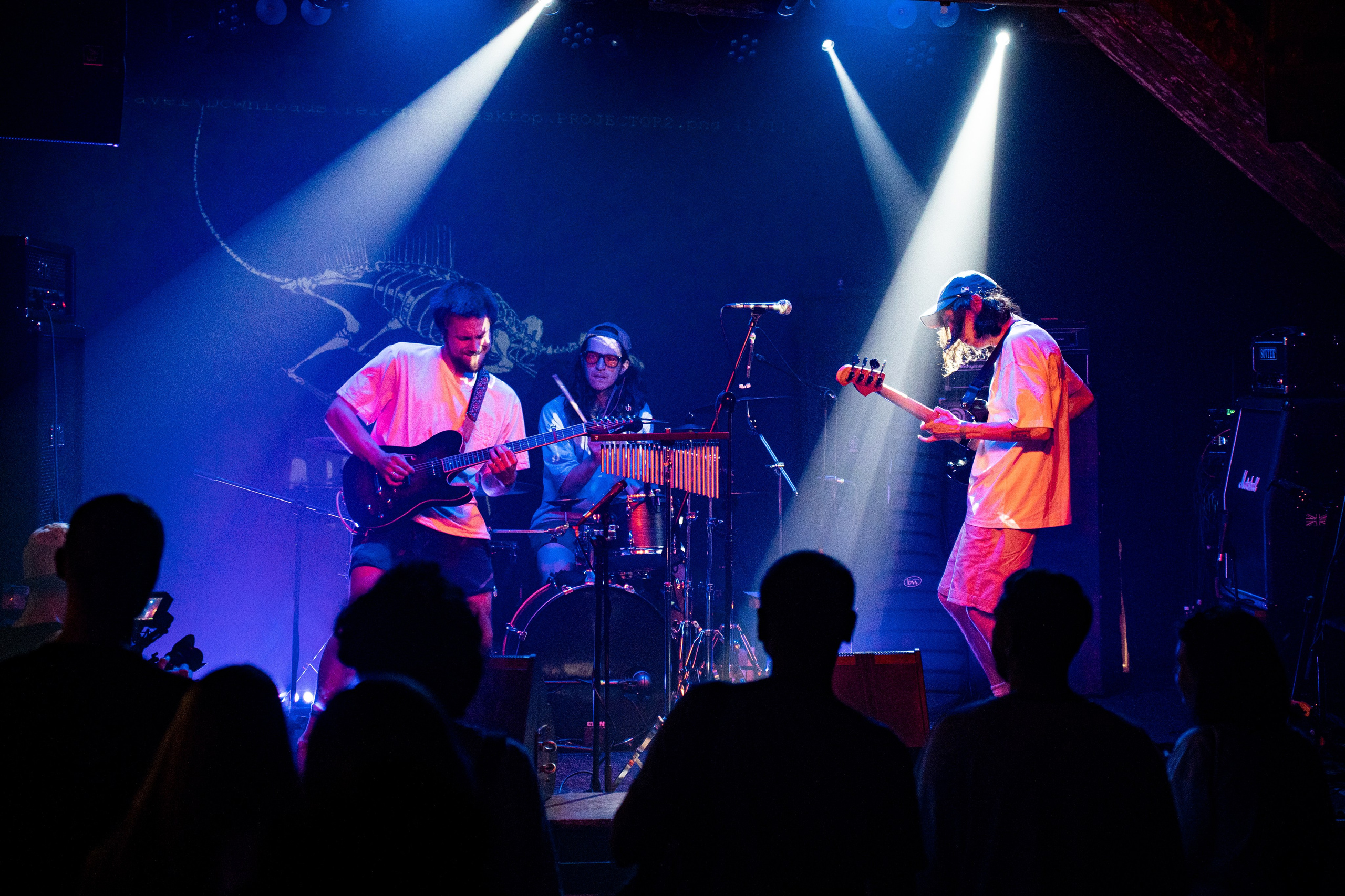 Observer • Gnot • Call us колос | Zoccolo 2.0. Концертный и репортажный фотограф в Санкт-Петербурге Слава Пахомов