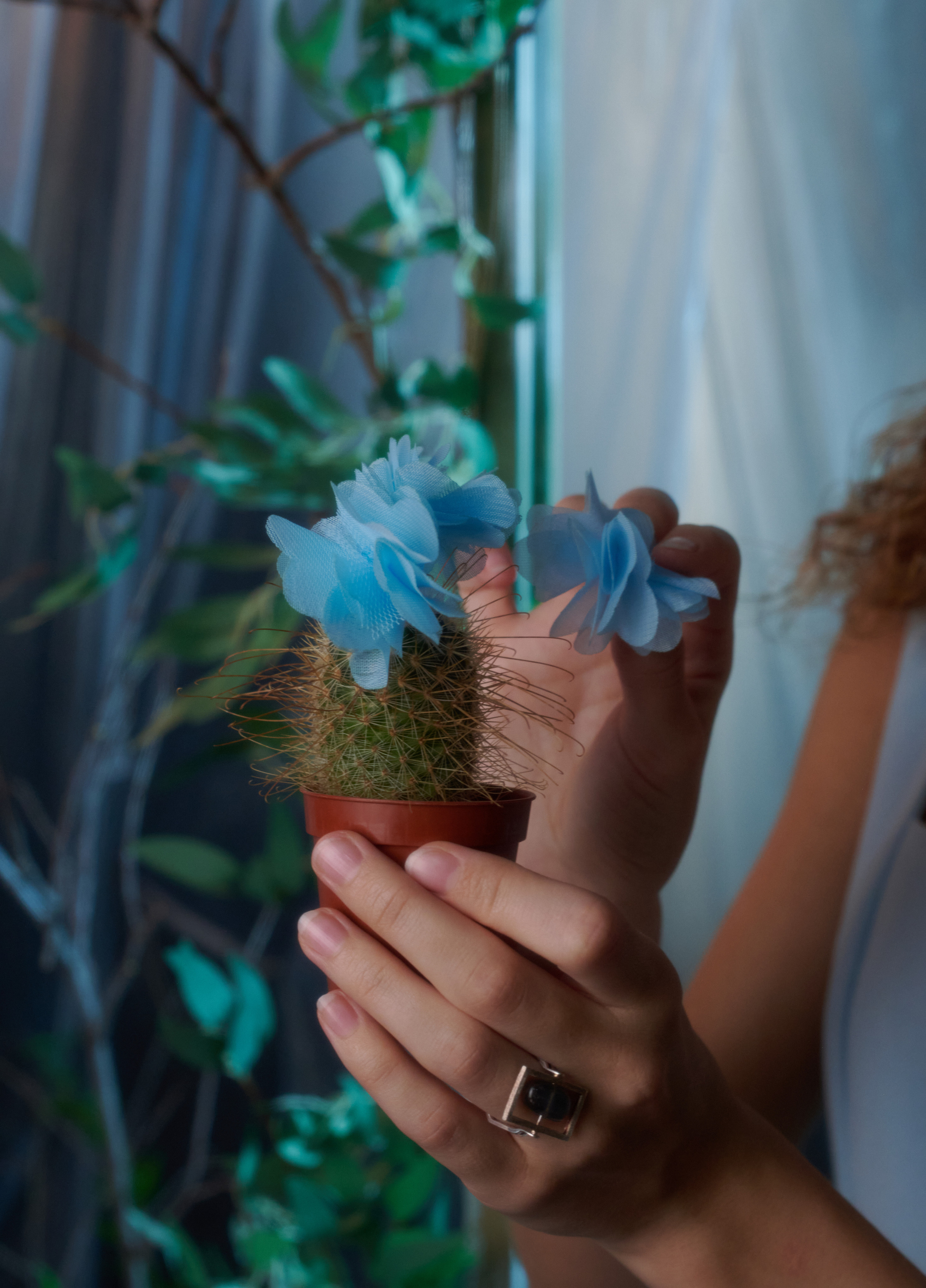 Цветок. Главная