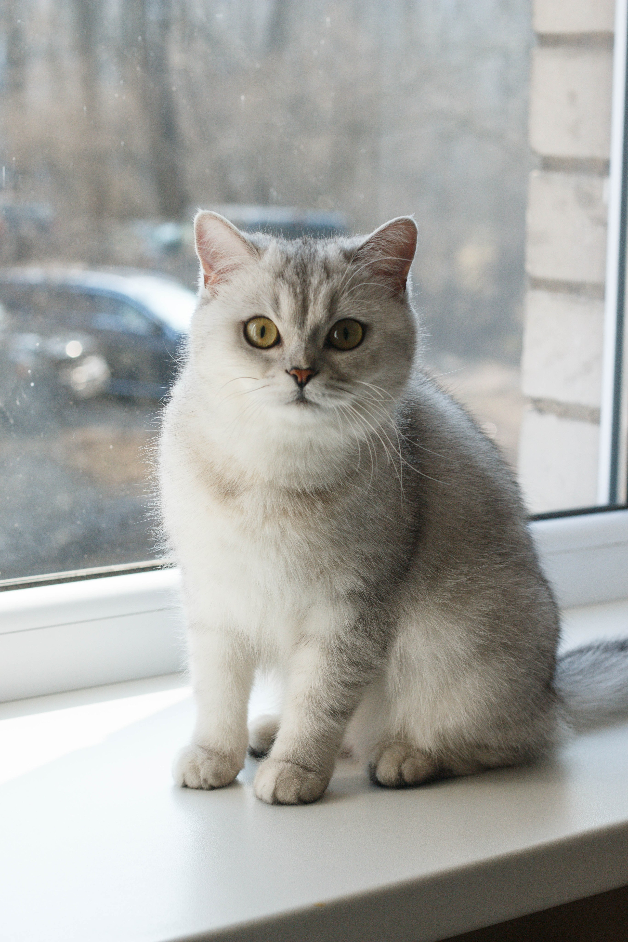 NASTYA & KITTI. Бережно сохраняю ваши чувства и истории на своих фотографиях