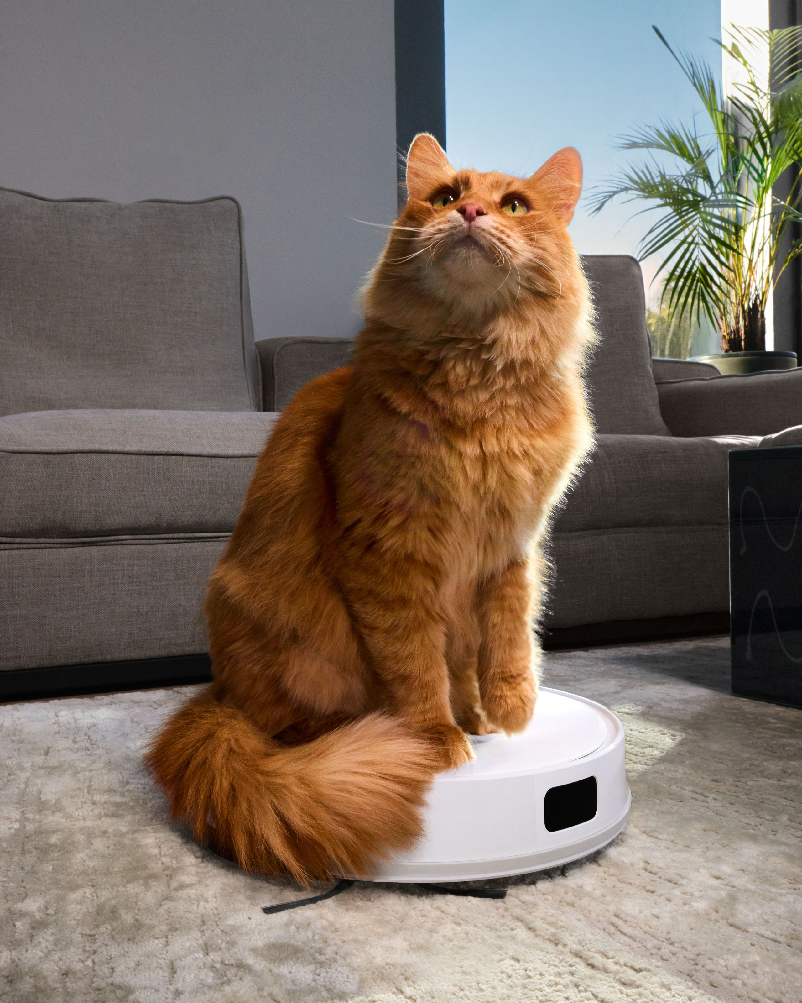 Honor CHOICE. Святослав Лебедев | Рекламный фотограф — Коммерческая съемка, Арт-дирекшн, AI-интеграция