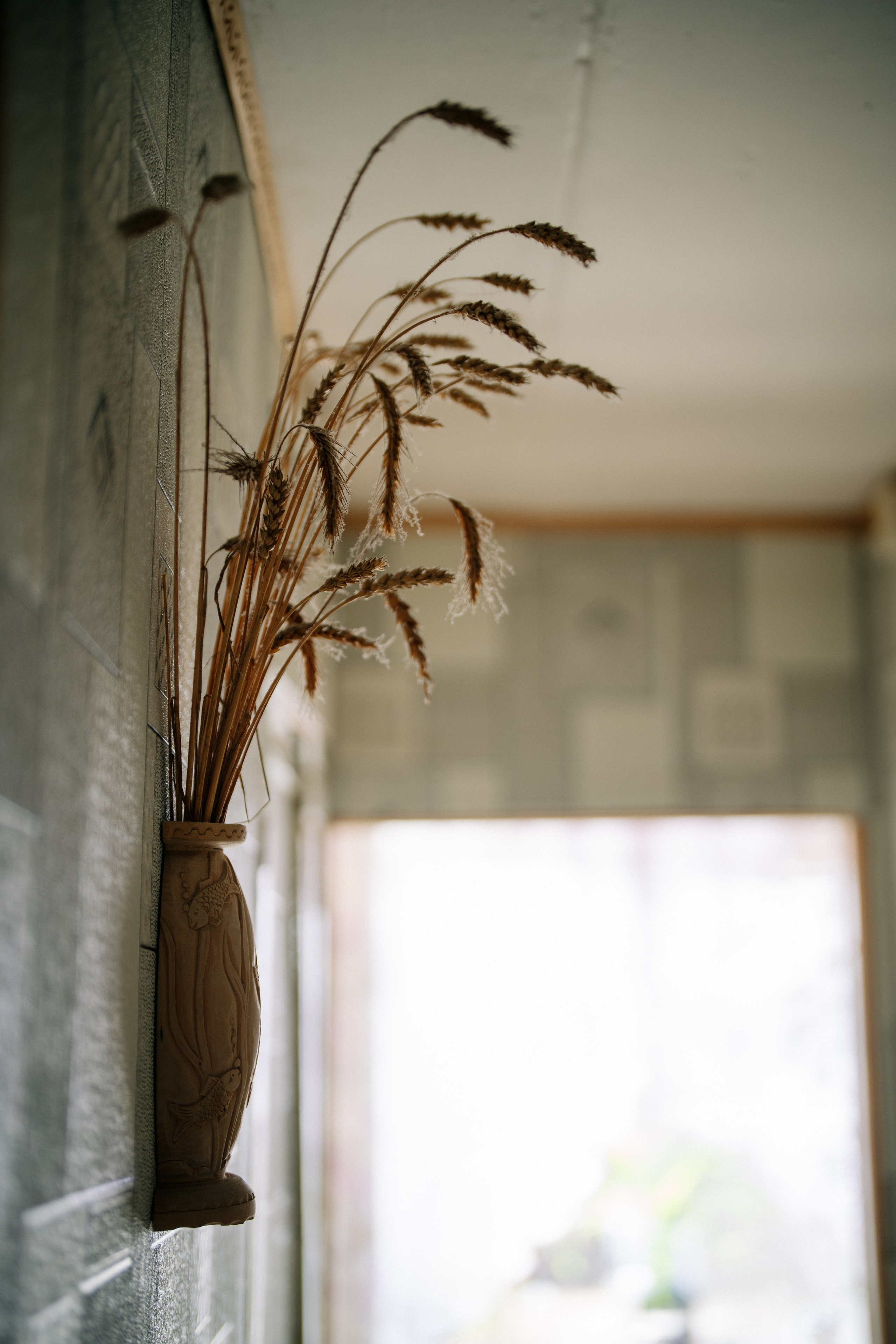 Сюжет № 5|Лев Владимирович Крашенинников