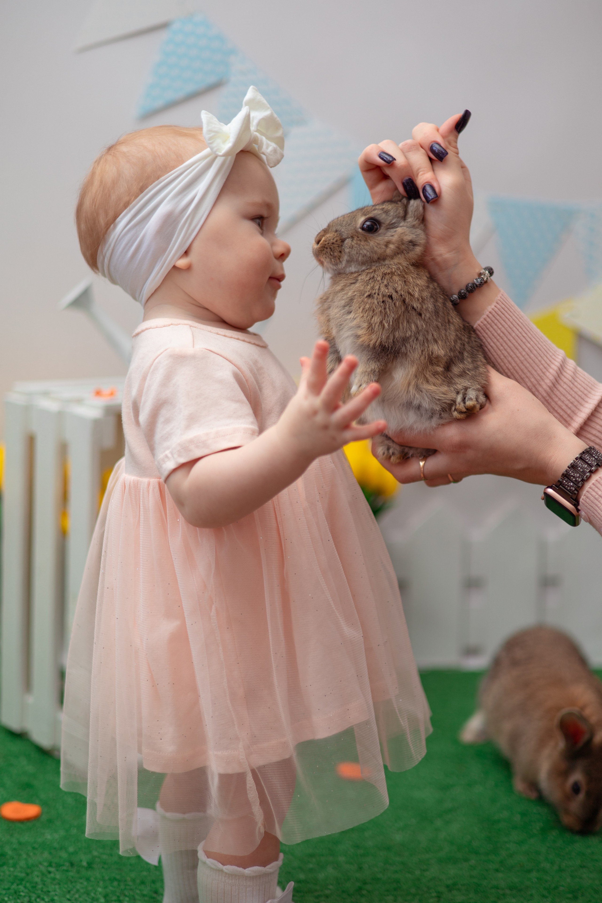Злата кролики. Семейный и детский фотограф в Михайловке Татьяна Лестьева