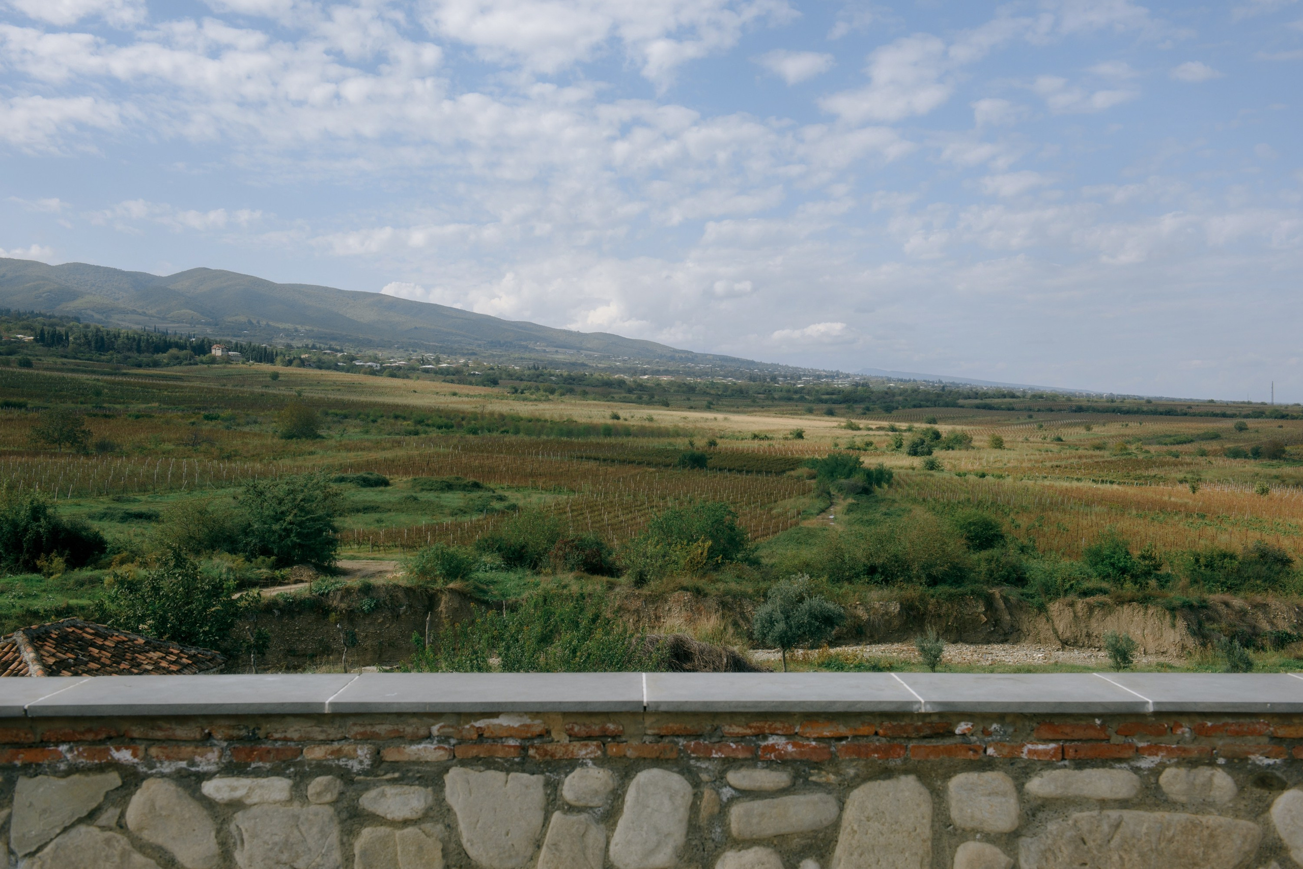 Wedding at the winery in Georgia. Fedor Lemeshko — Destination Wedding and Family Lifestyle photographer