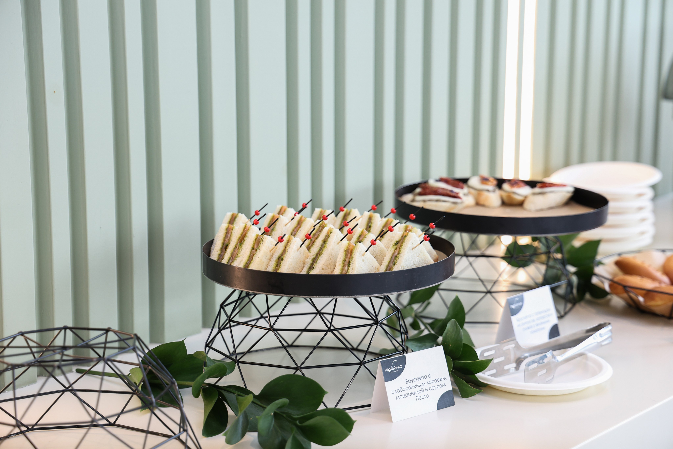 Кластер Ломоносов. Фотограф и видеограф — Москва