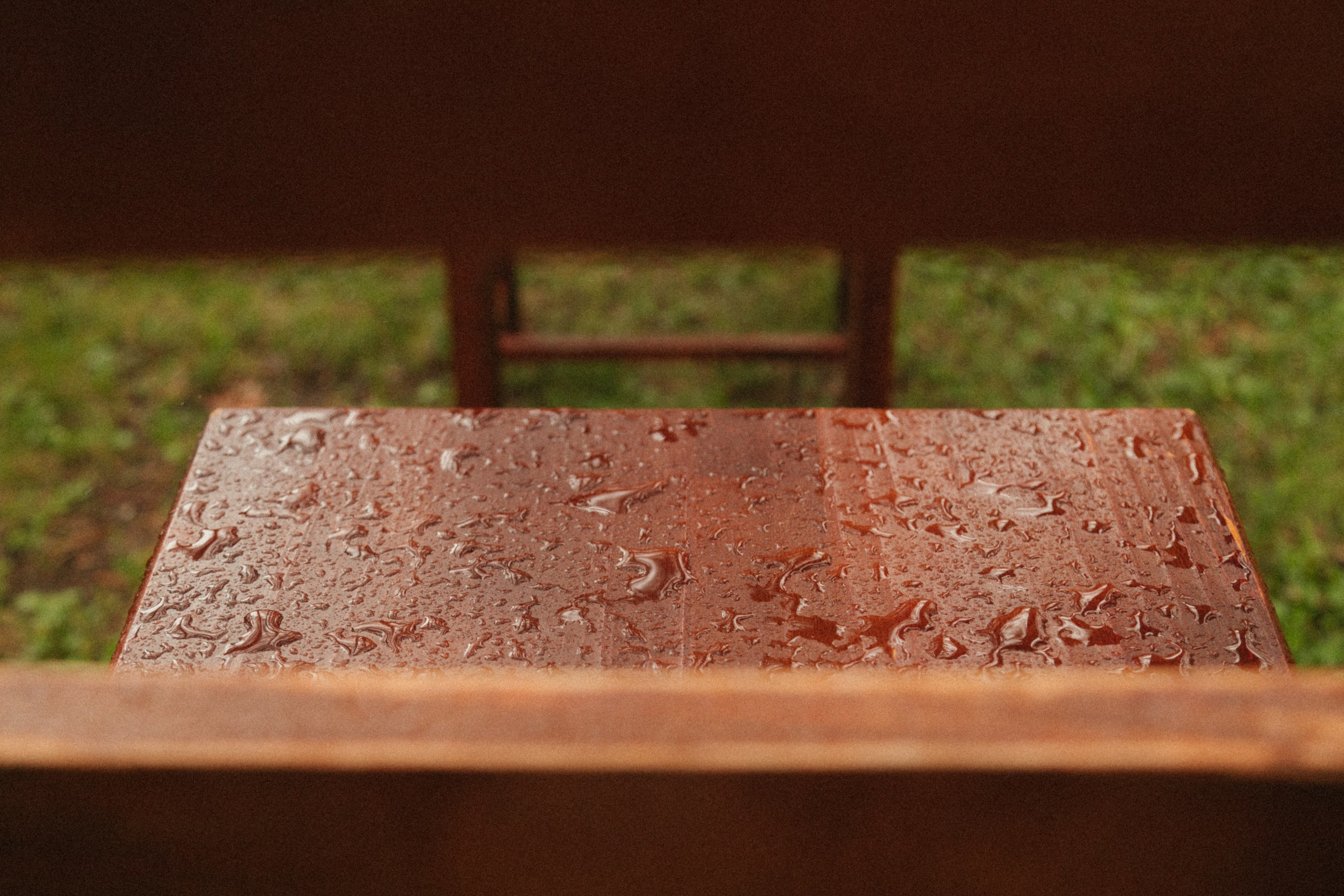 Дождливый день. Свадебный и семейный фотограф в Самаре и Москве