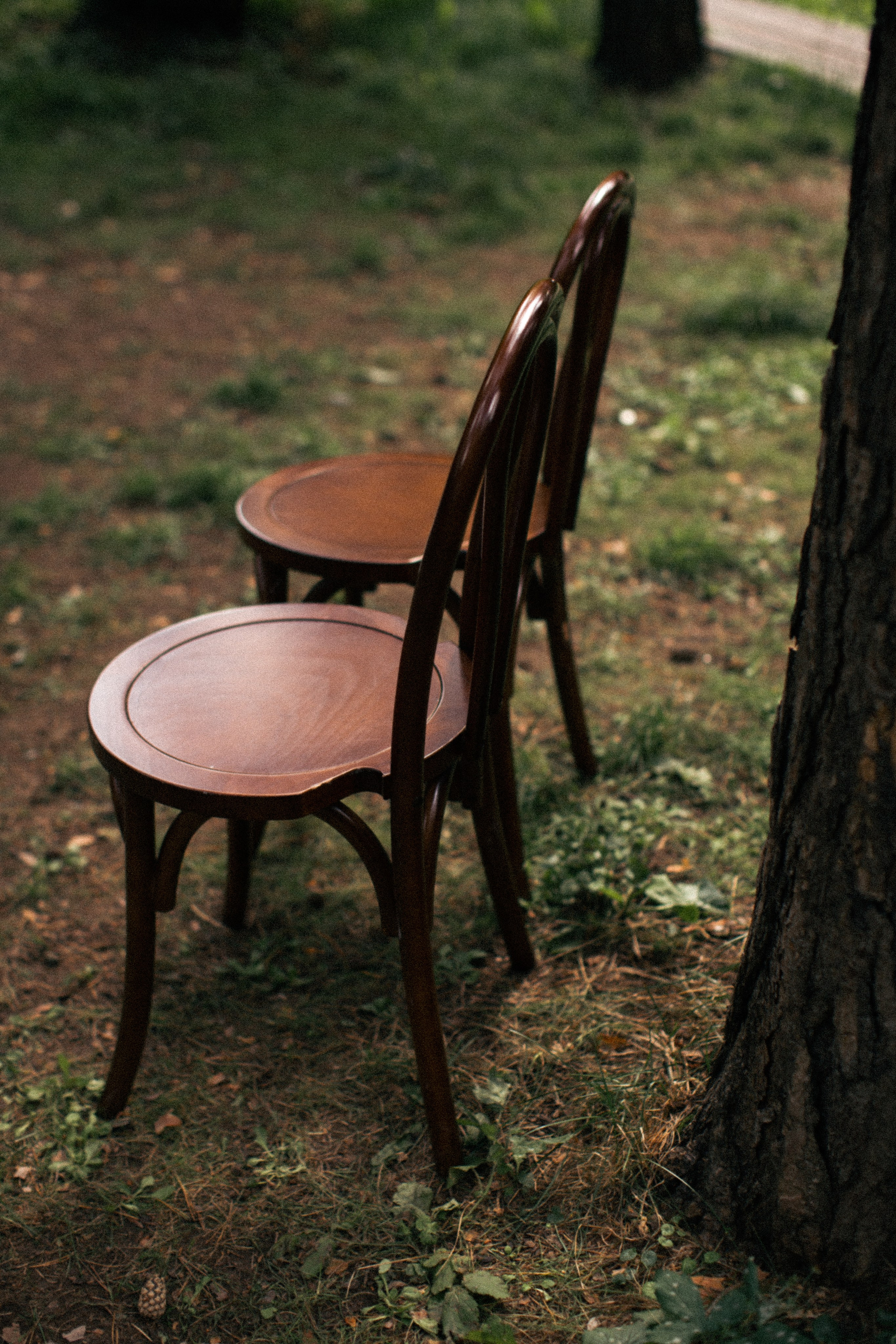 23/07/23. Фотограф НатаФото (Наталья Яковенко) Дмитров Москва Питер