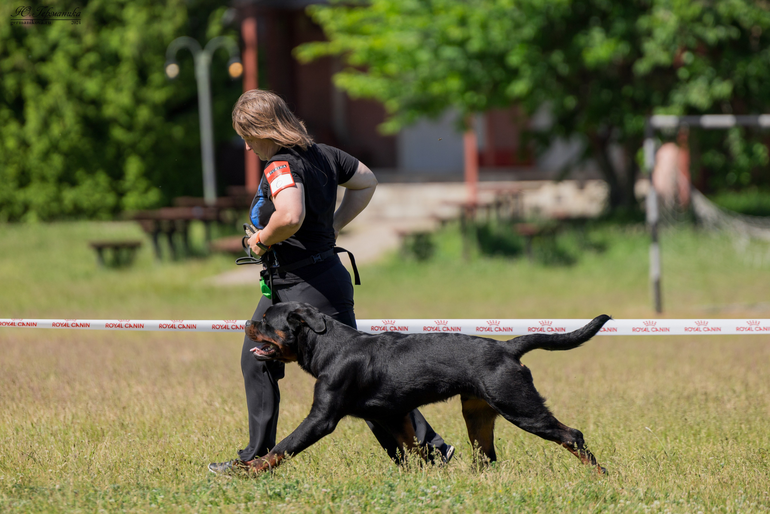 Воронеж моно ротвейлеров 25-26.05.2024. Фотограф-анималист Юлия Германика