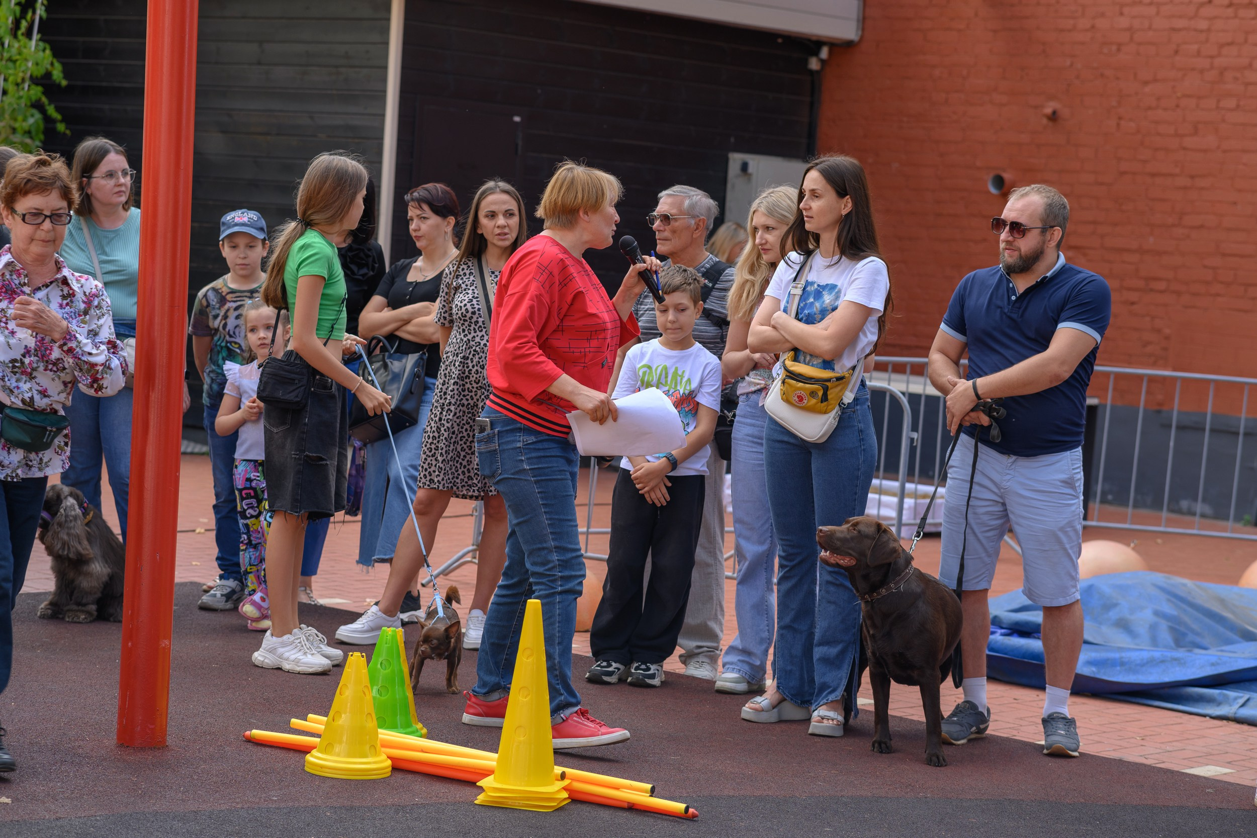 СобачийФест_РынокНаГоре_10082024. Фотограф Александр Данилов