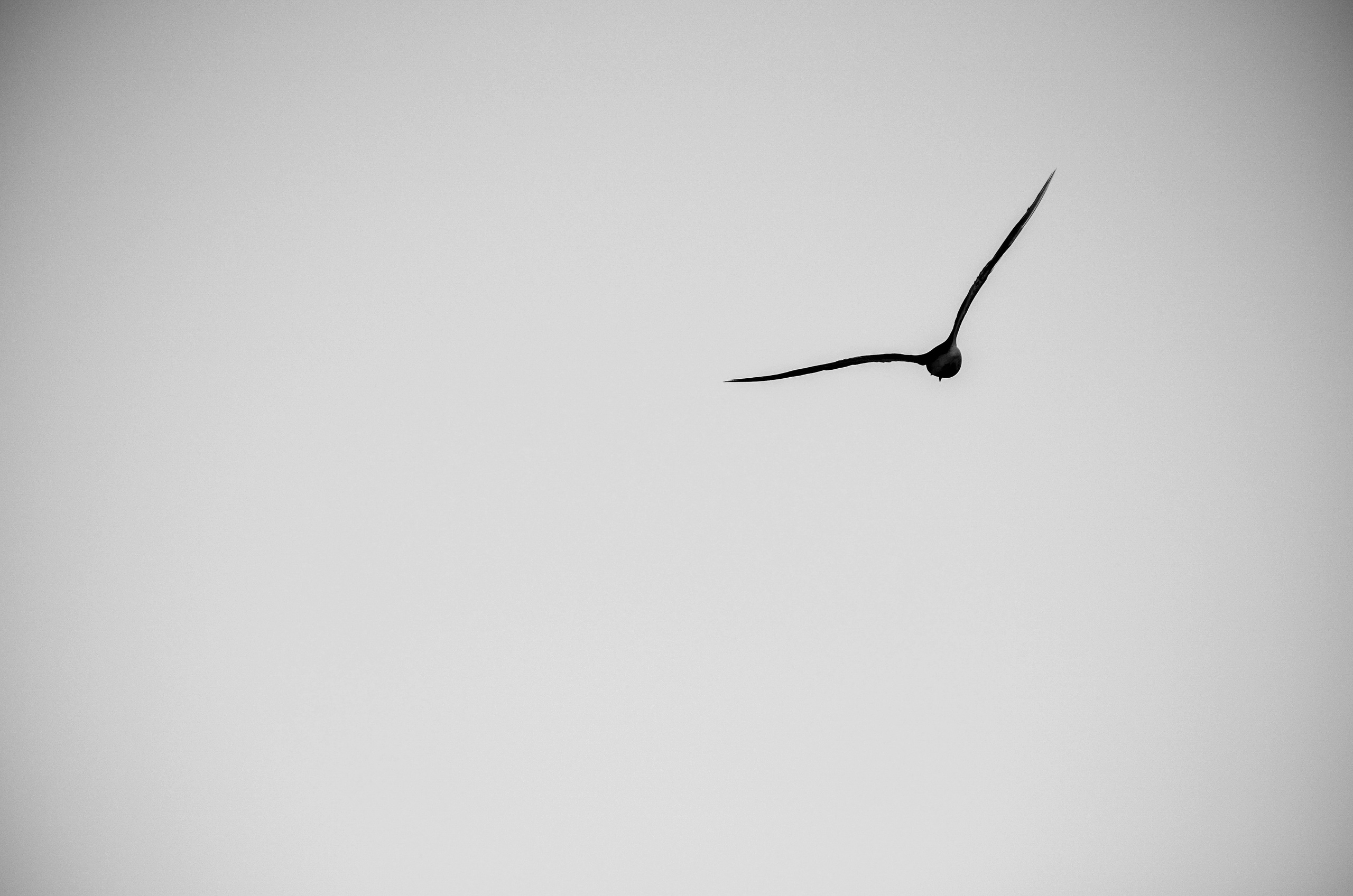 Nature. Портретный фотограф в Москве Ксения Богданова