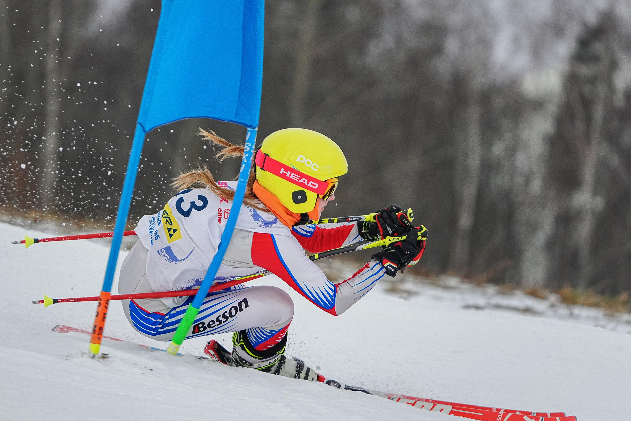 Горные лыжи. Первенство Московской области. Слалом-гигант. Шуколово