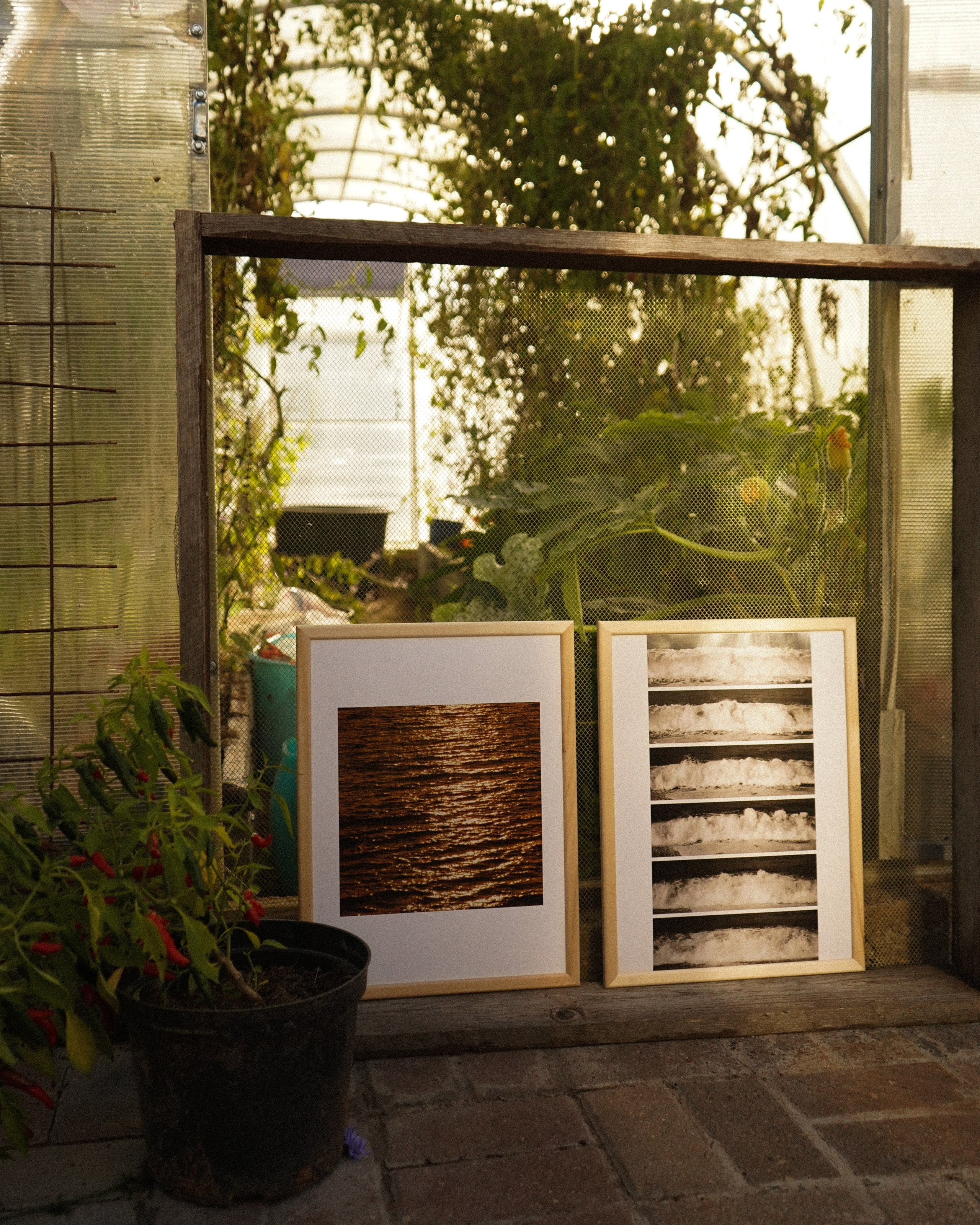 WAVES. Фотограф Нижний Новгород